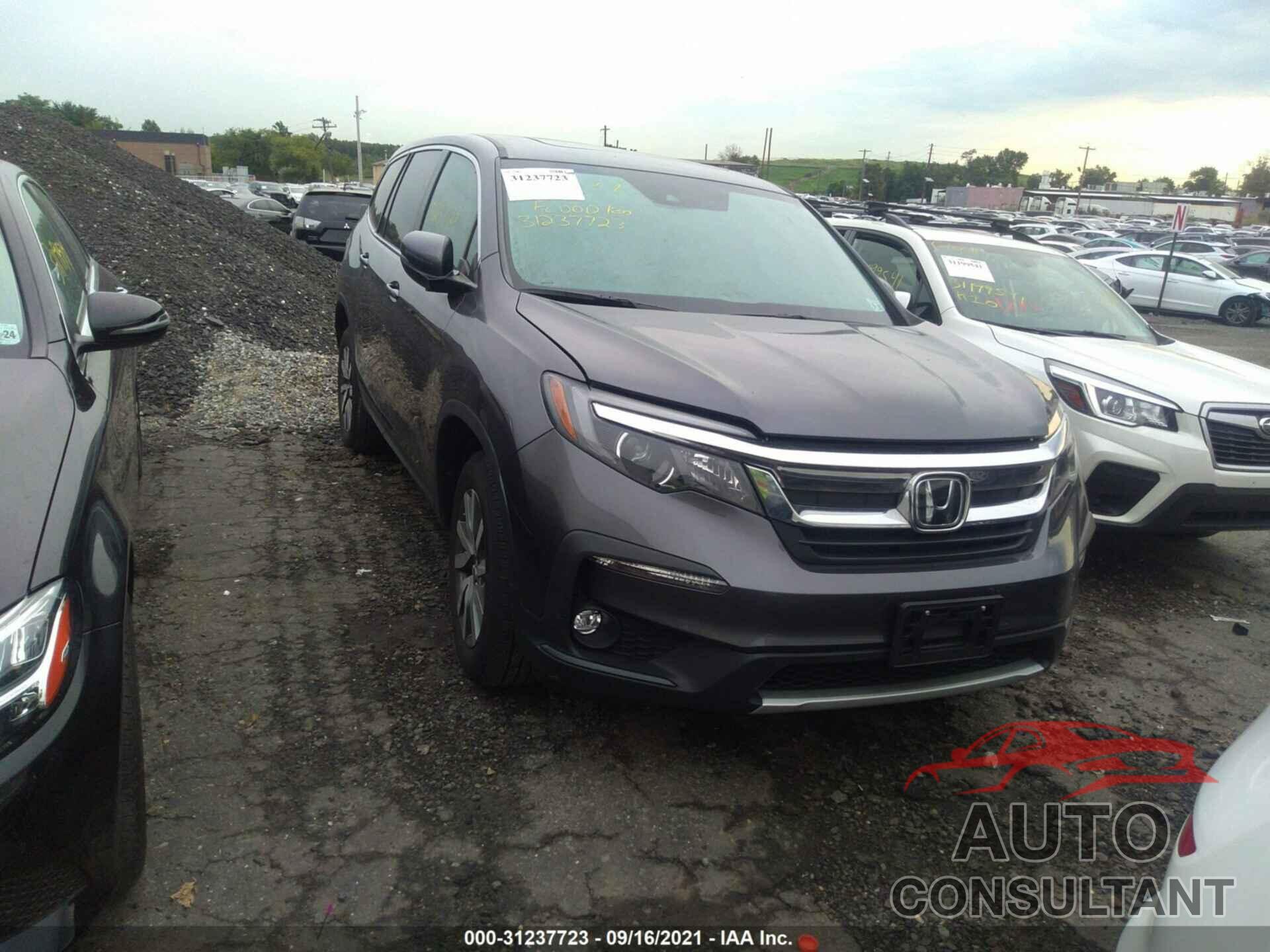 HONDA PILOT 2021 - 5FNYF6H56MB021995