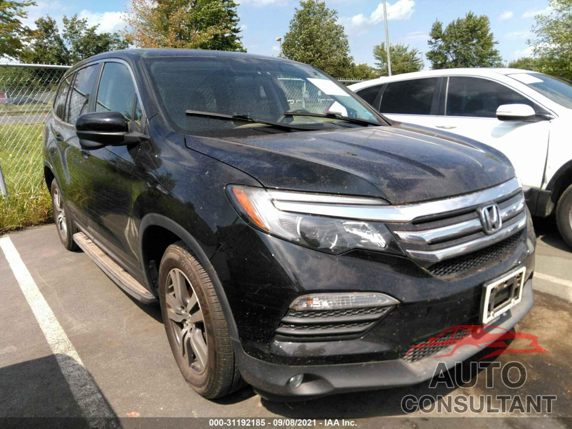 HONDA PILOT 2016 - 5FNYF6H38GB027557