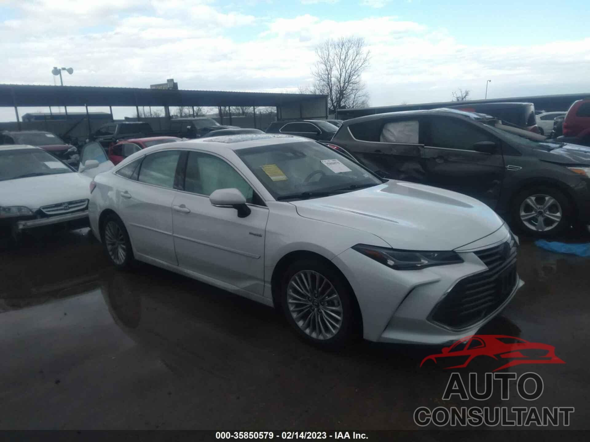 TOYOTA AVALON 2019 - 4T1B21FB0KU010794