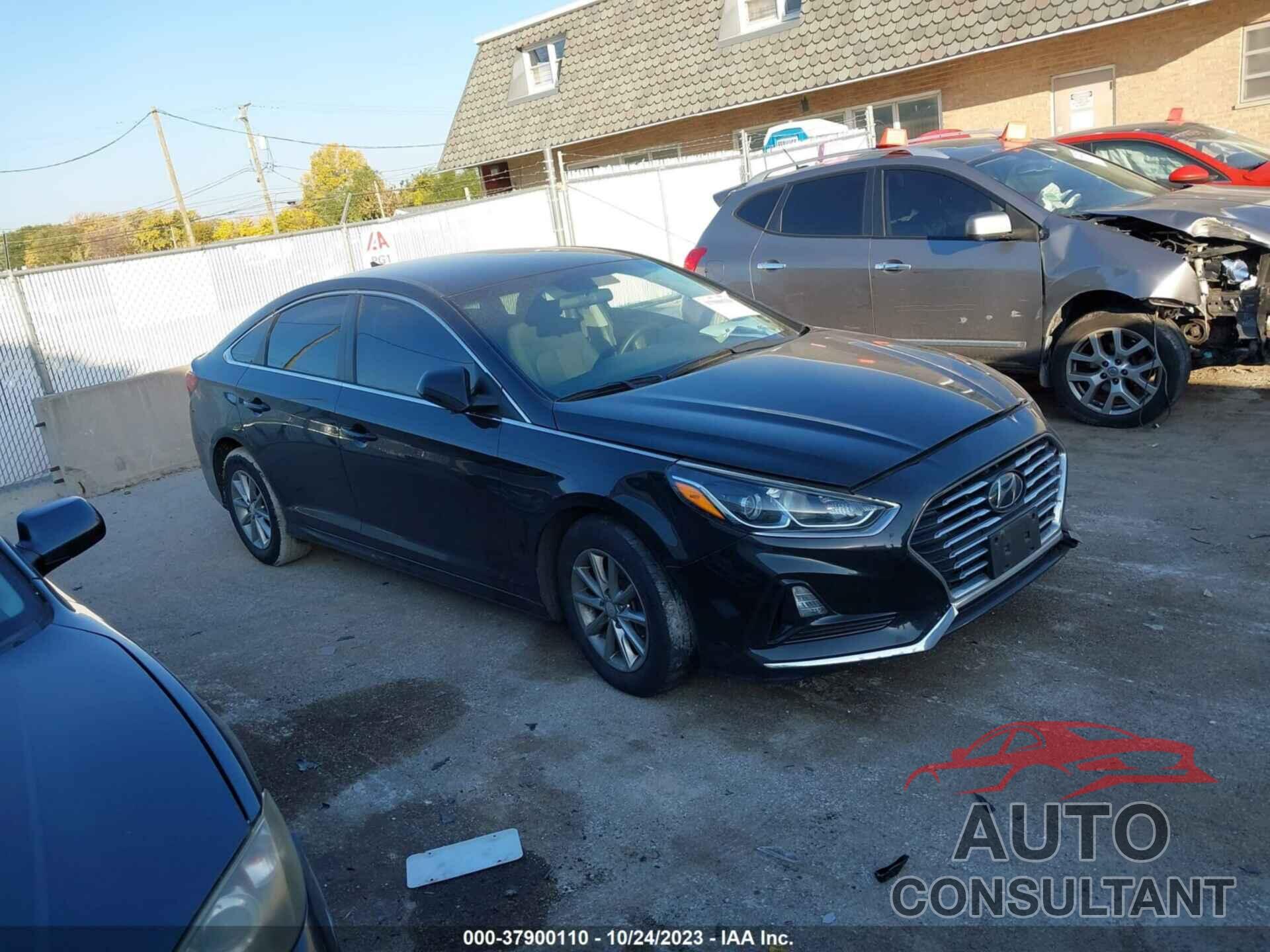 HYUNDAI SONATA 2019 - 5NPE24AF8KH753890