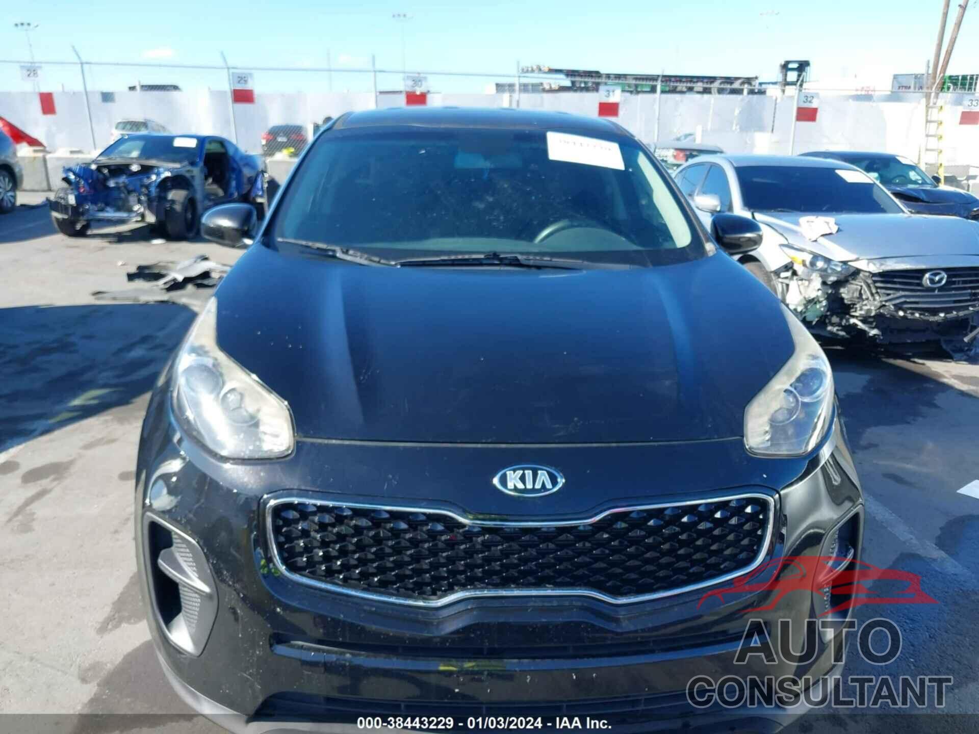 KIA SPORTAGE 2017 - KNDPM3AC1H7299210