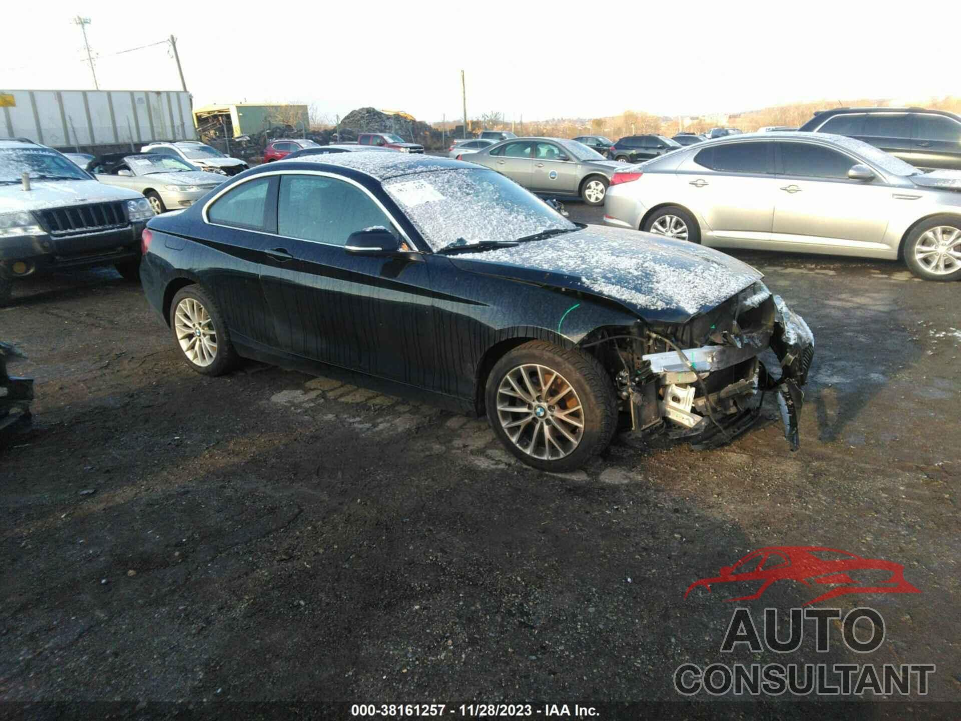BMW 228I 2016 - WBA1G9C53GV599739