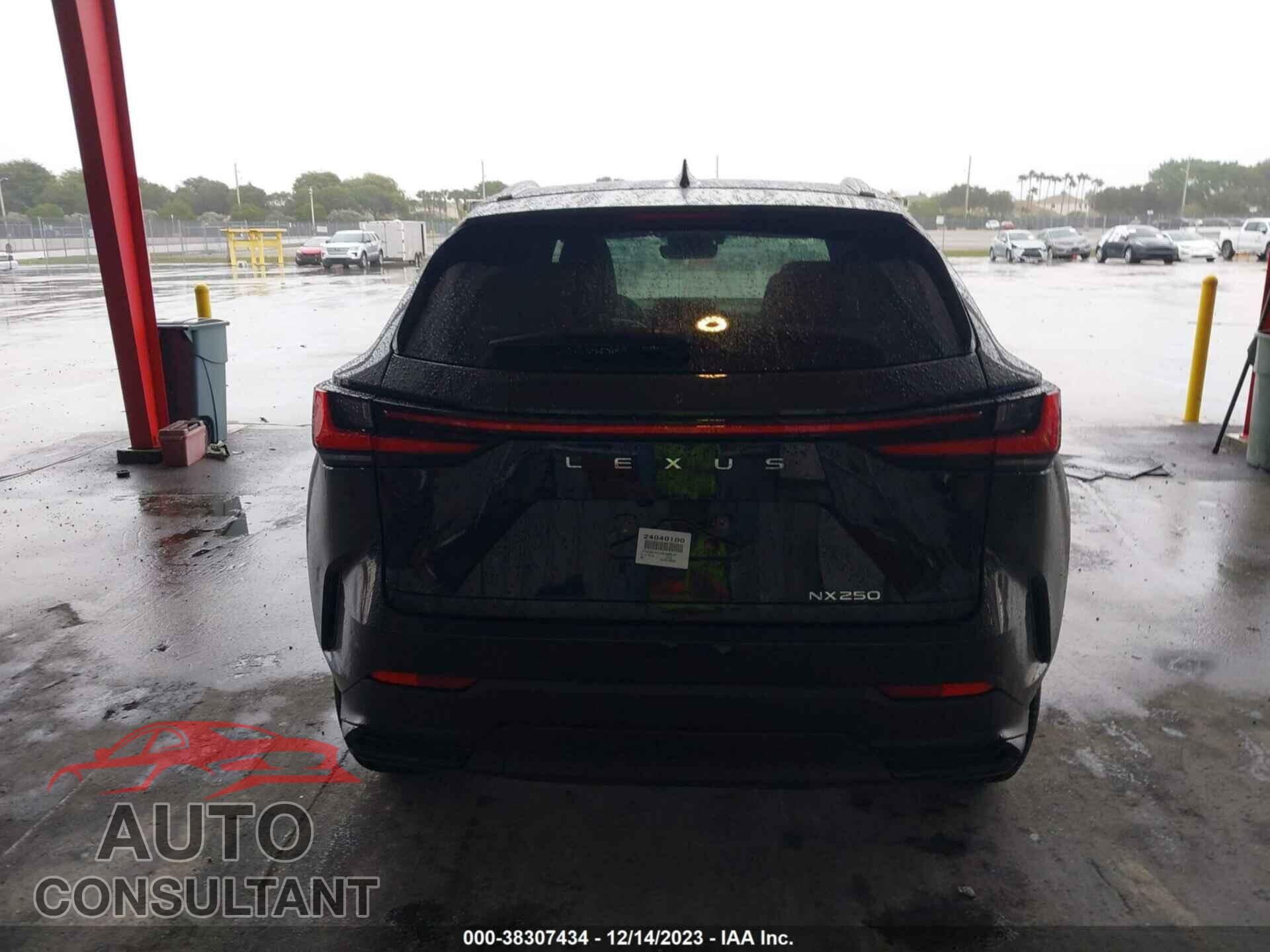 LEXUS NX 2024 - 2T2GDCAZ2RC009444