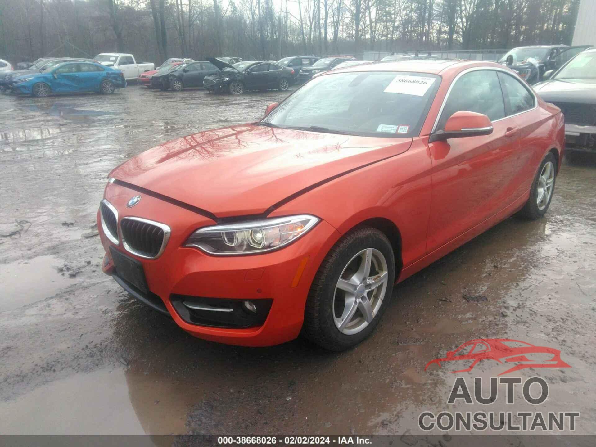 BMW 228I 2016 - WBA1G9C55GV727110