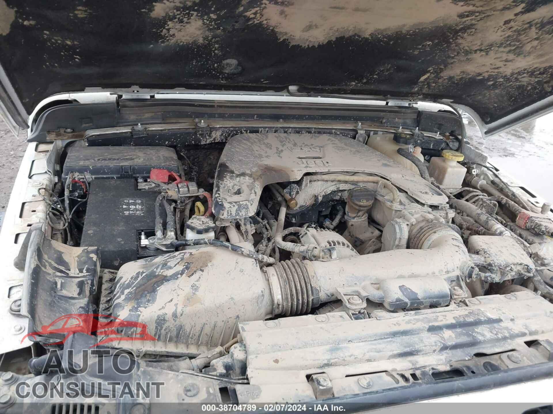 JEEP GLADIATOR 2020 - 1C6JJTAG7LL109628