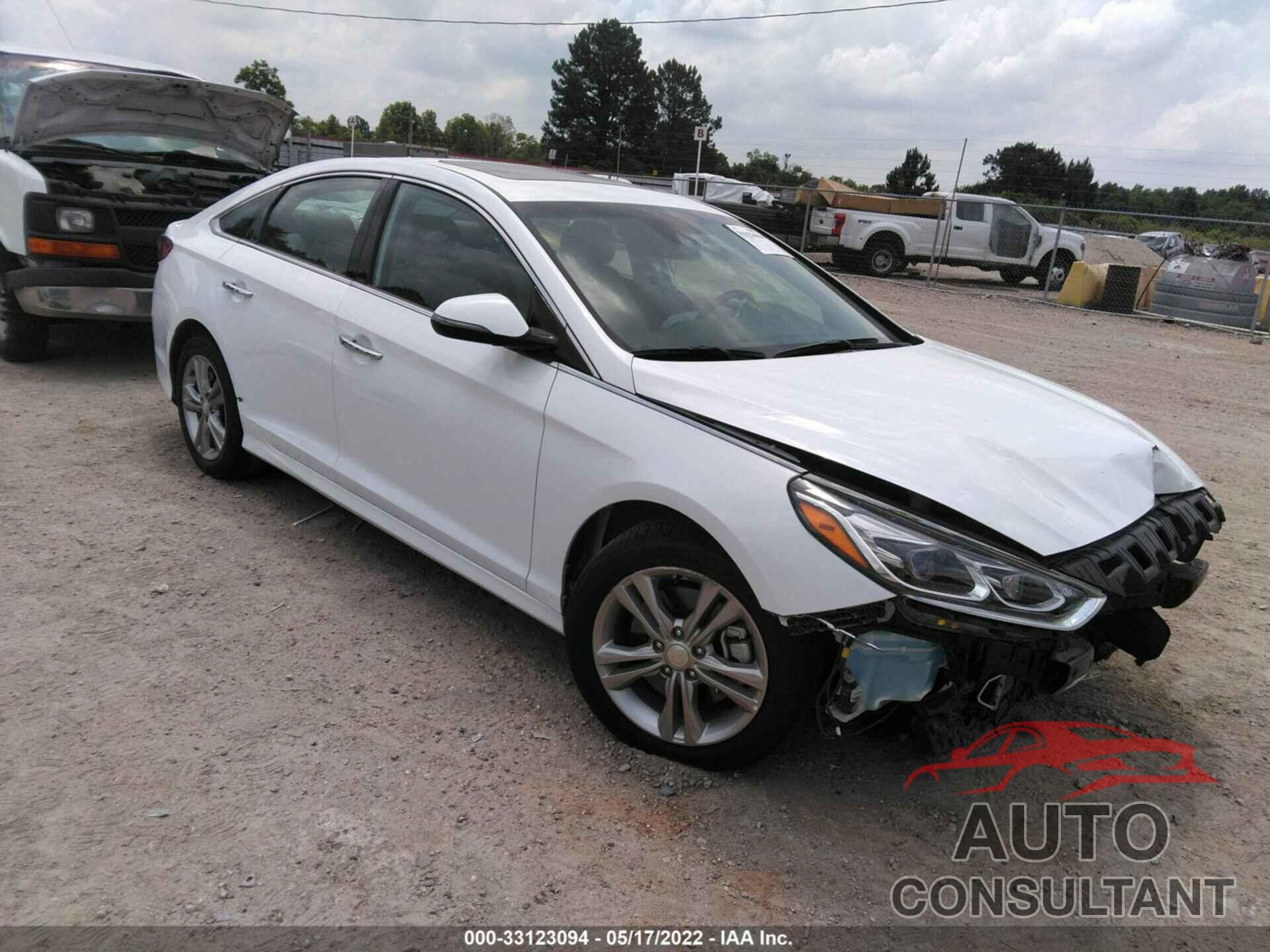 HYUNDAI SONATA 2019 - 5NPE34AF9KH780089