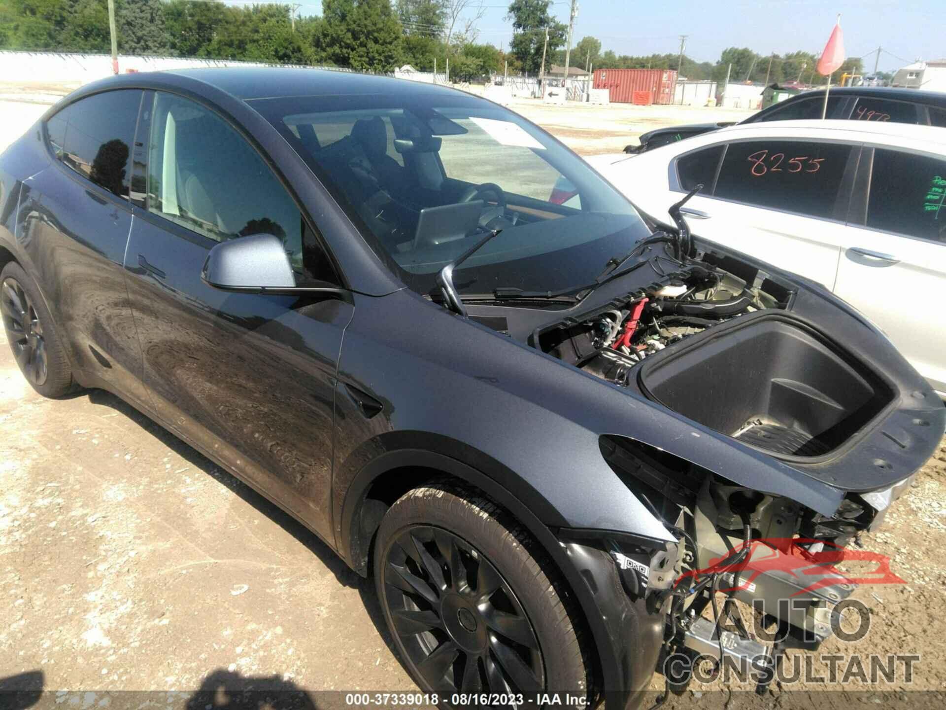 TESLA MODEL Y 2023 - 7SAYGDEE0PA098761