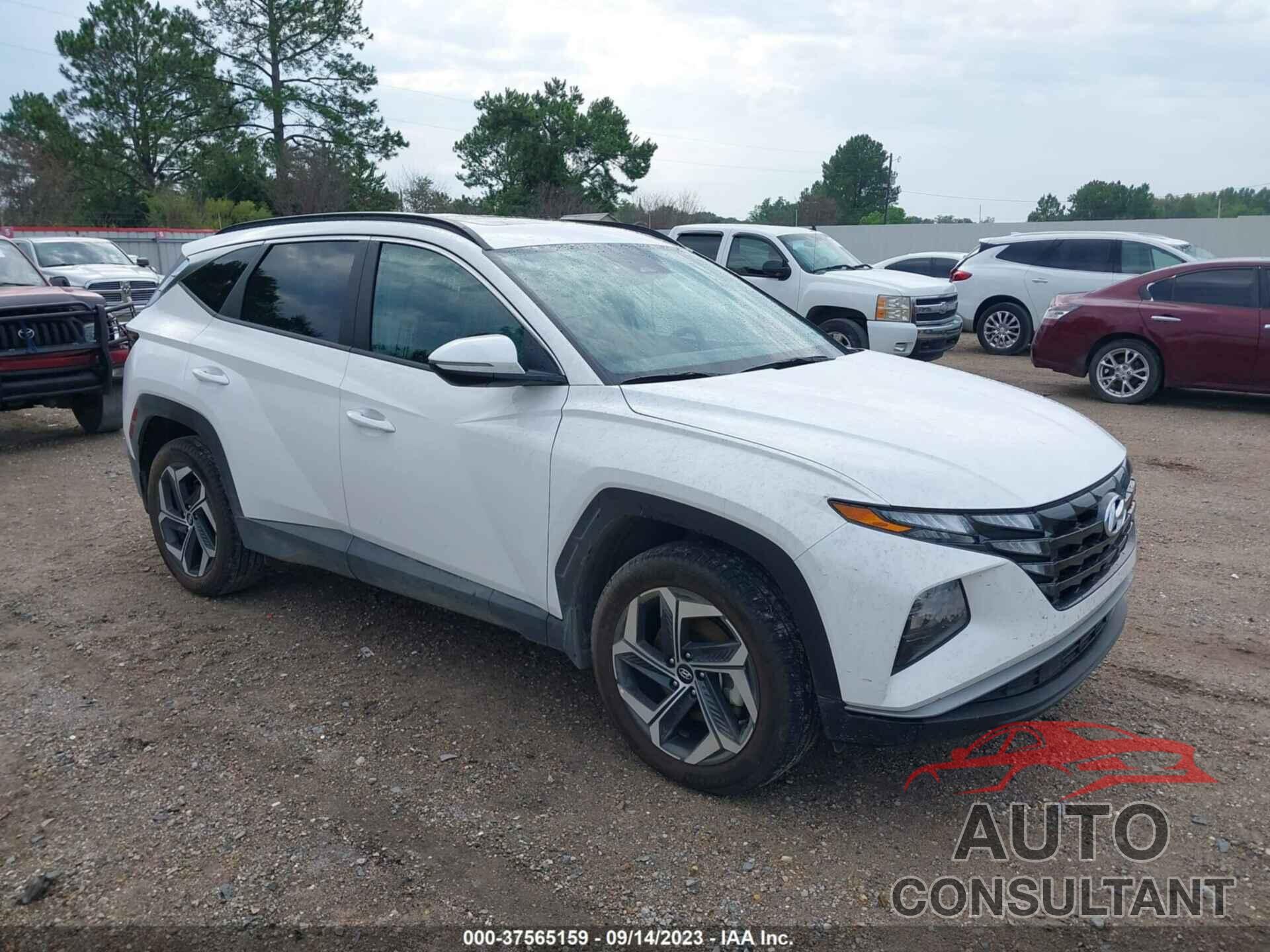 HYUNDAI TUCSON 2023 - 5NMJFCAE2PH259548