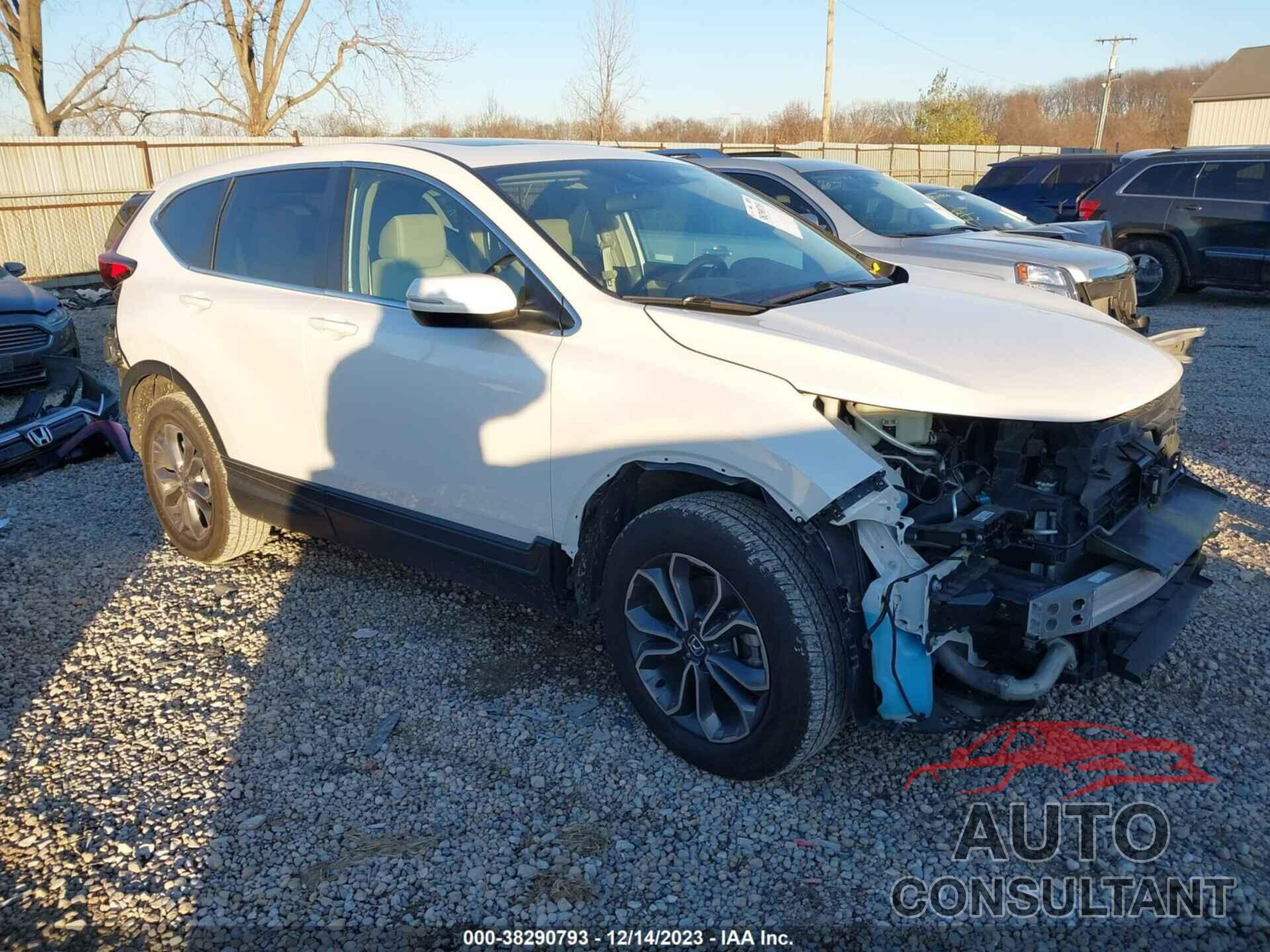HONDA CR-V 2022 - 5J6RW2H57NL003785