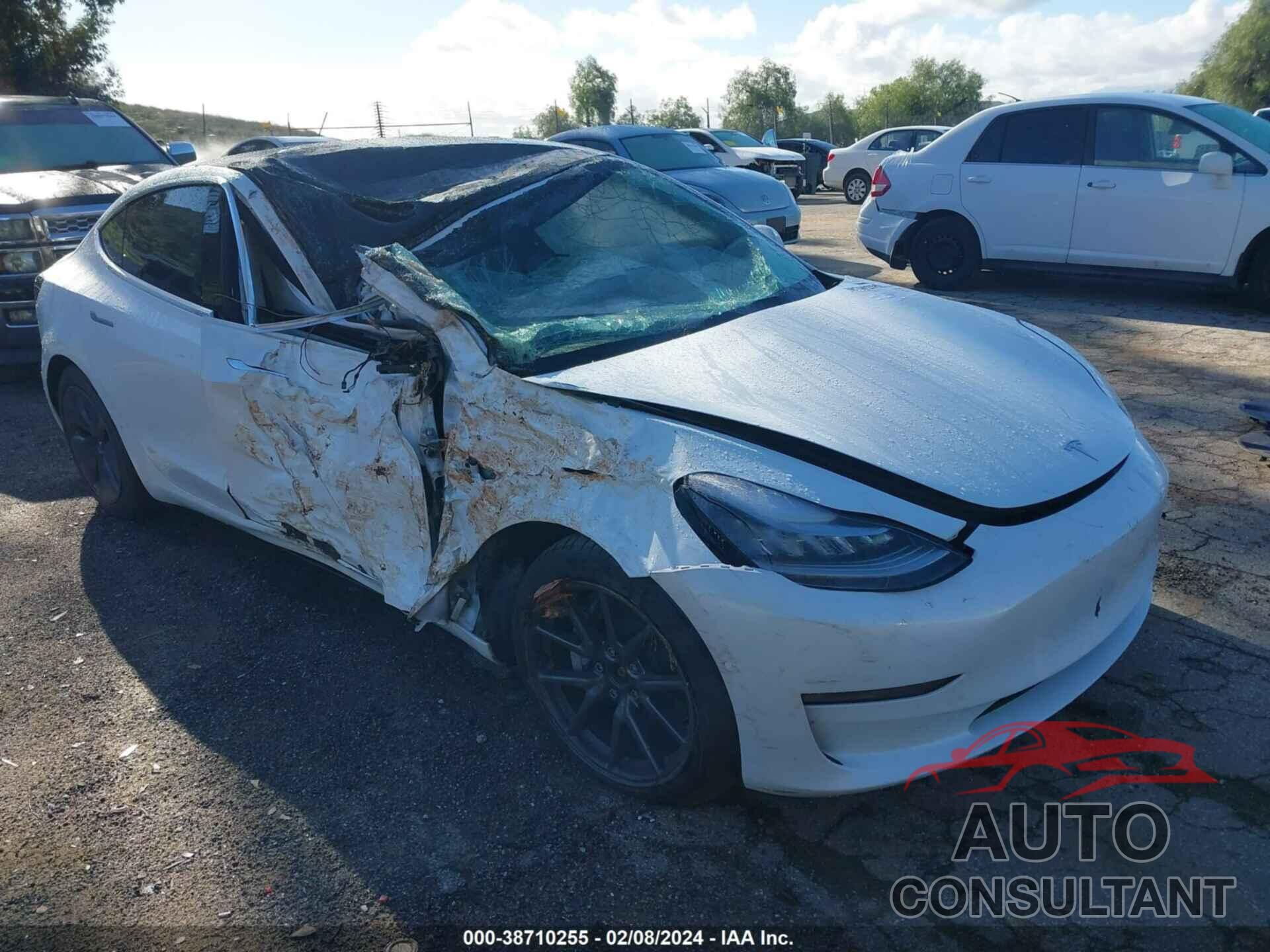 TESLA MODEL 3 2020 - 5YJ3E1EB3LF619244