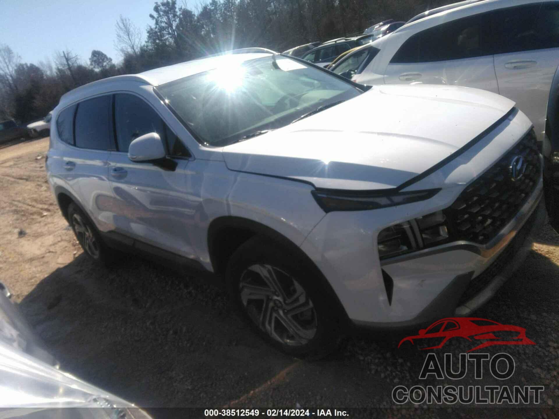 HYUNDAI SANTA FE 2023 - 5NMS24AJ0PH515222