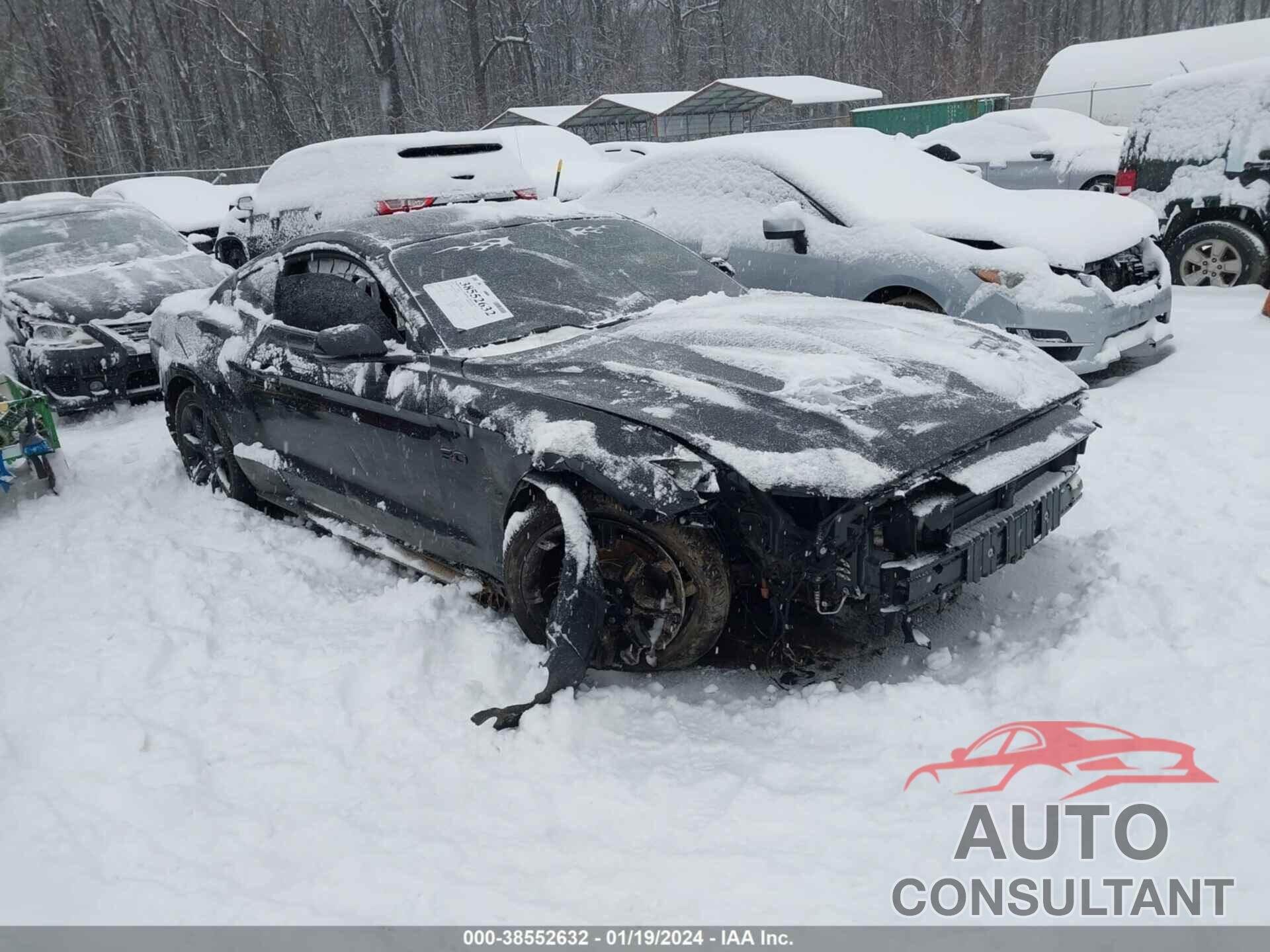 FORD MUSTANG 2019 - 1FA6P8CF1K5141420