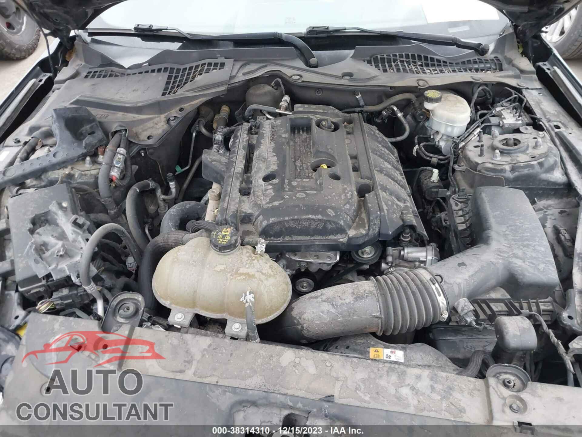 FORD MUSTANG 2016 - 1FA6P8TH2G5278598