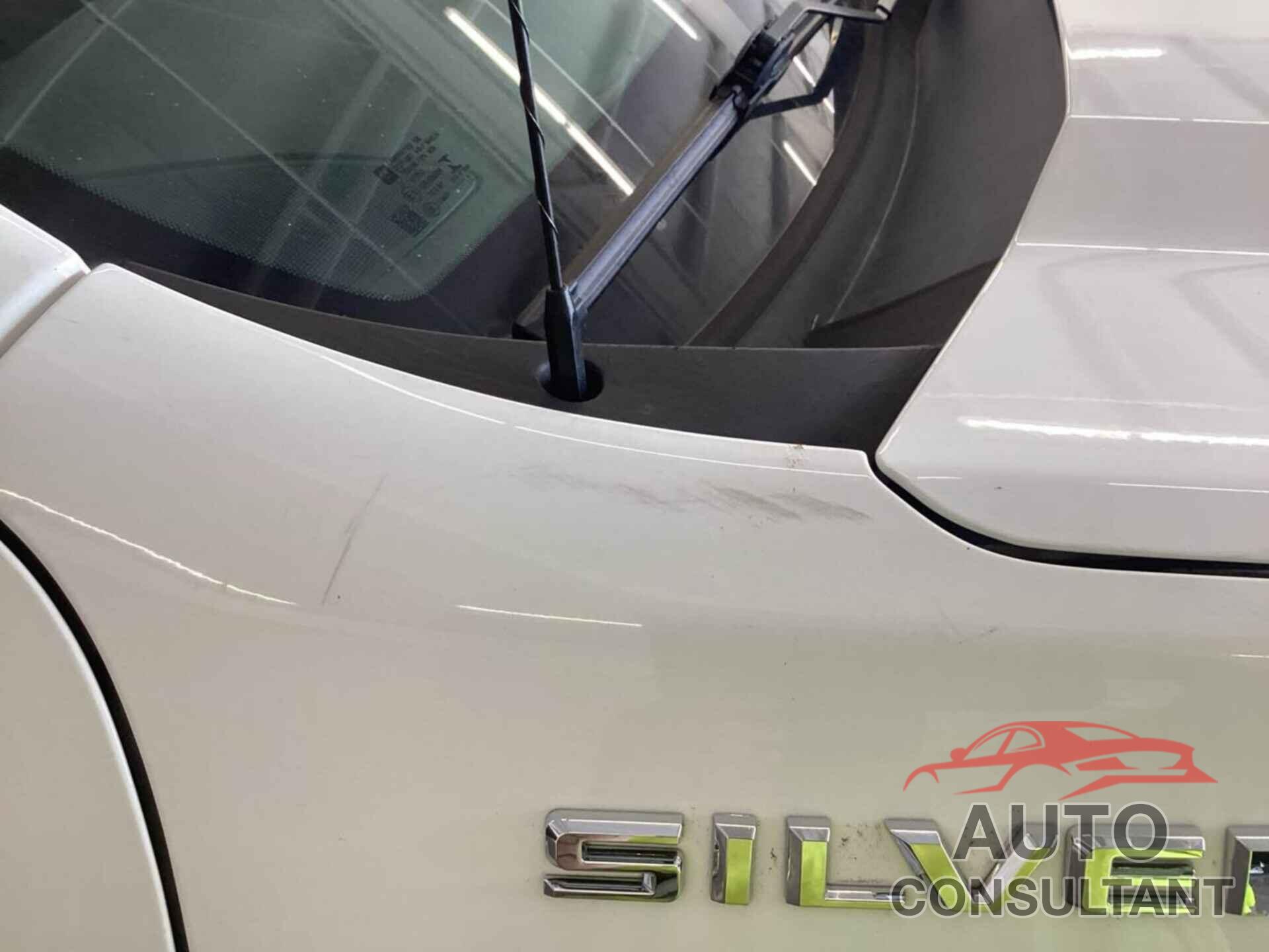 CHEVROLET SILVERADO 1500 2019 - 3GCPYAEH7KG148172