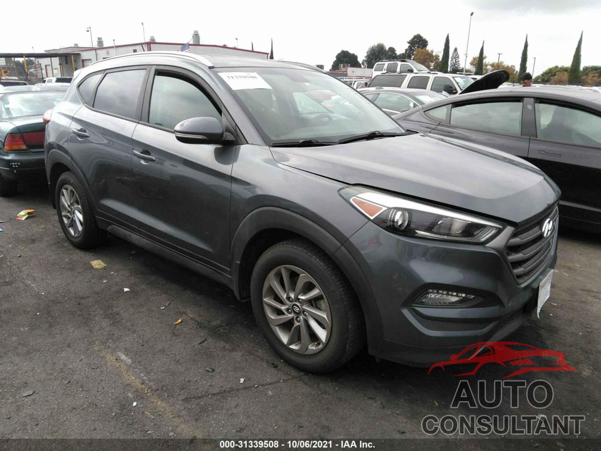 HYUNDAI TUCSON 2016 - KM8J33A20GU128511