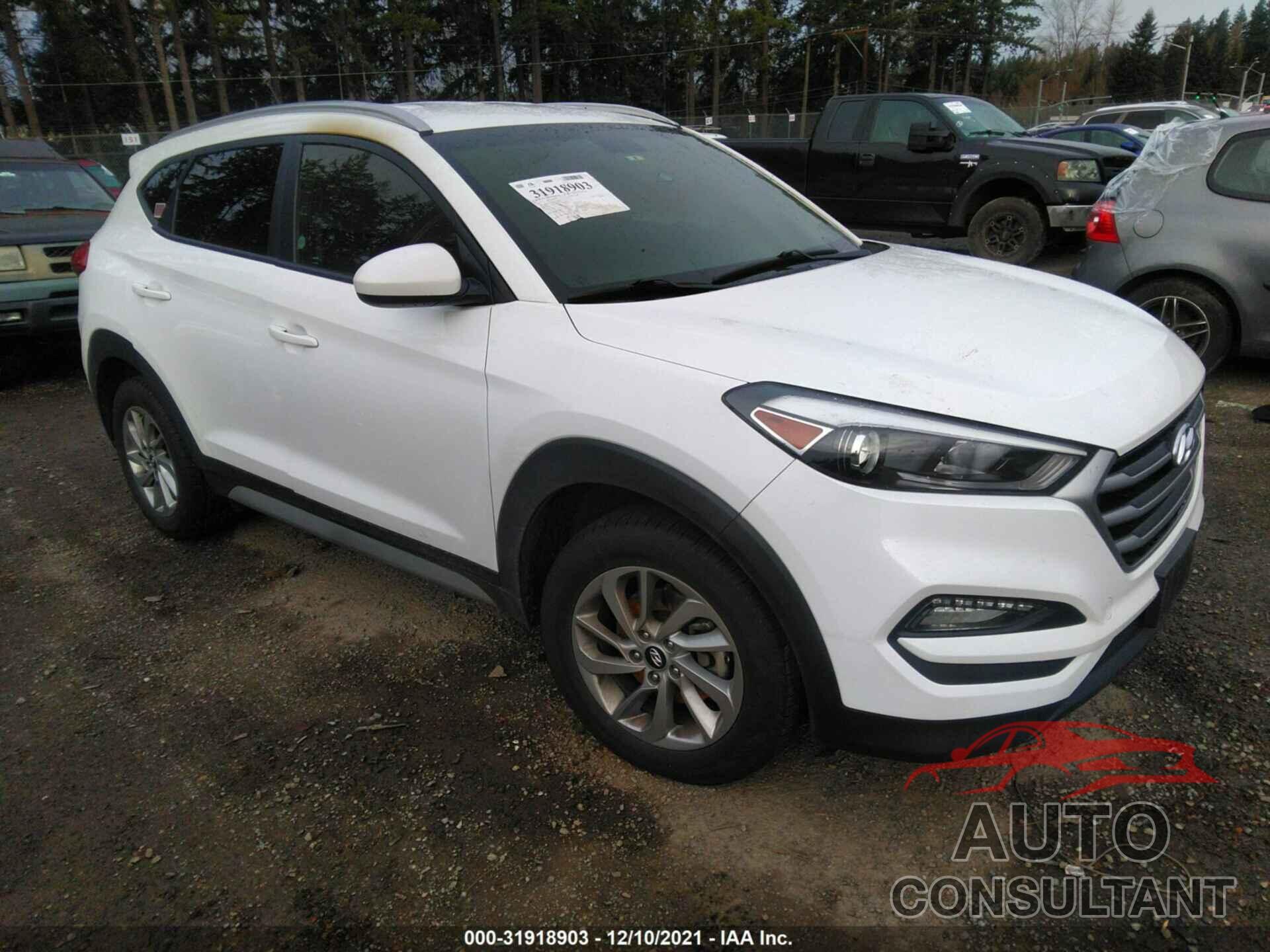 HYUNDAI TUCSON 2017 - KM8J3CA47HU562752