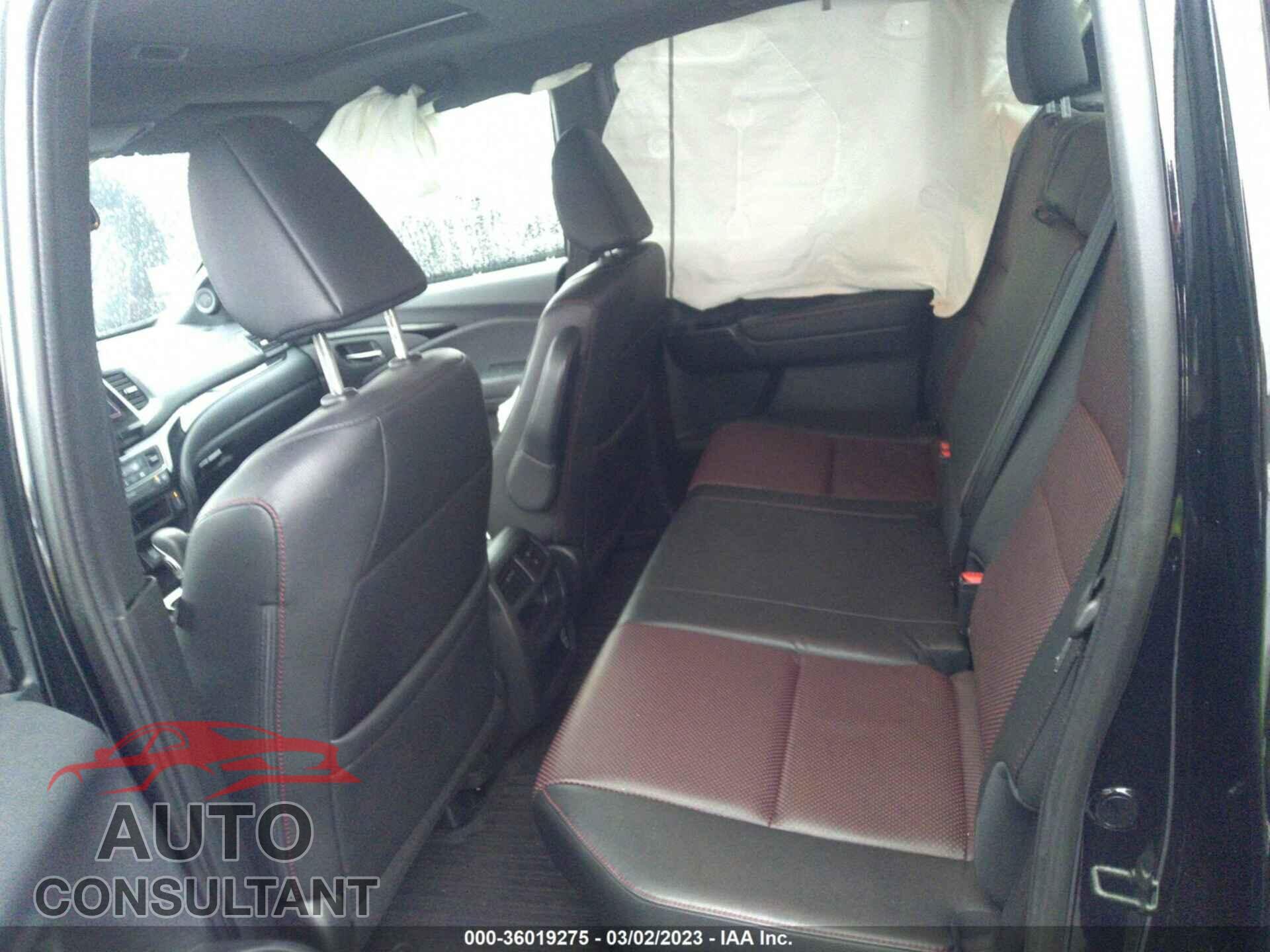HONDA RIDGELINE 2019 - 5FPYK3F82KB031127