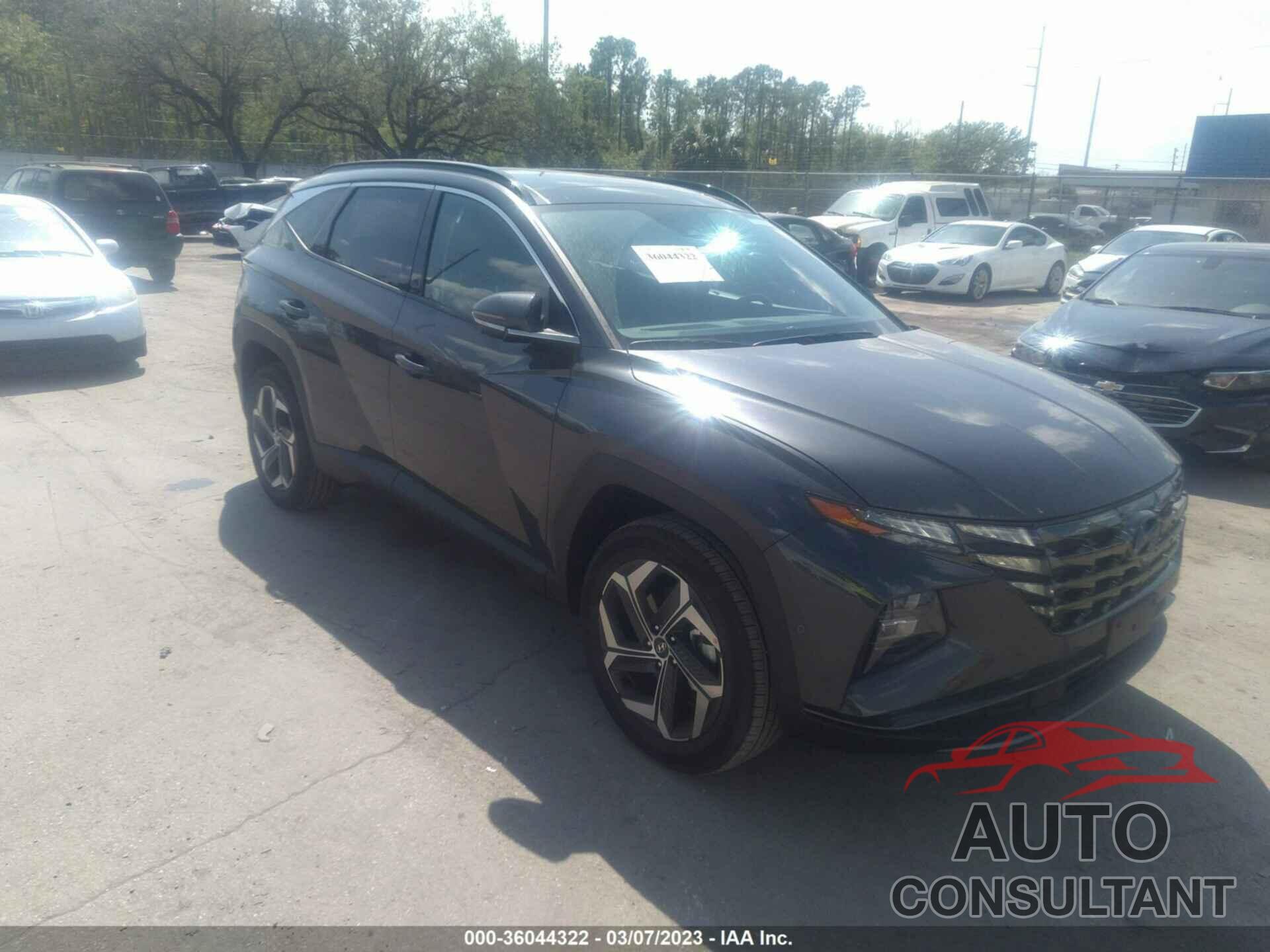 HYUNDAI TUCSON 2023 - 5NMJECAE2PH201748