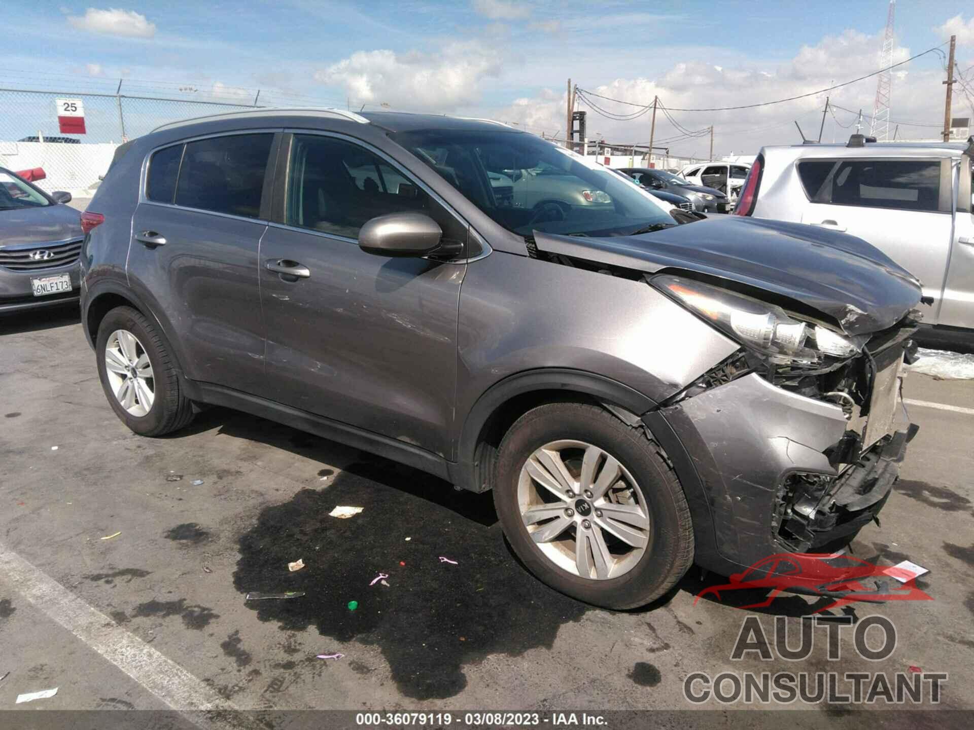 KIA SPORTAGE 2017 - KNDPM3AC4H7083500