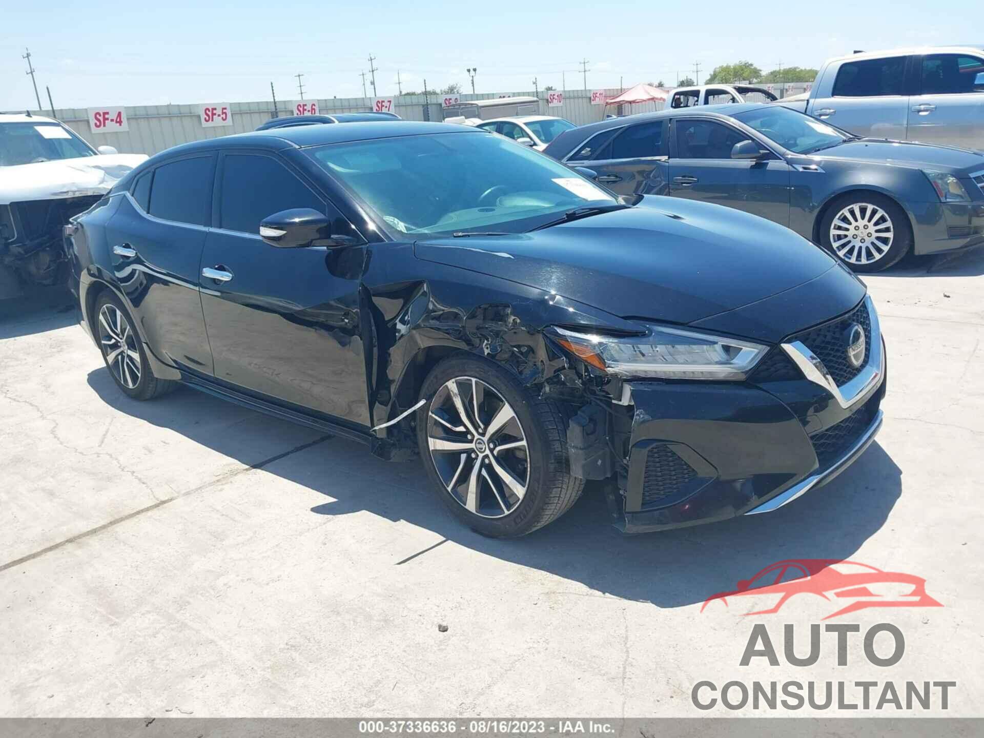 NISSAN MAXIMA 2019 - 1N4AA6AV7KC363482