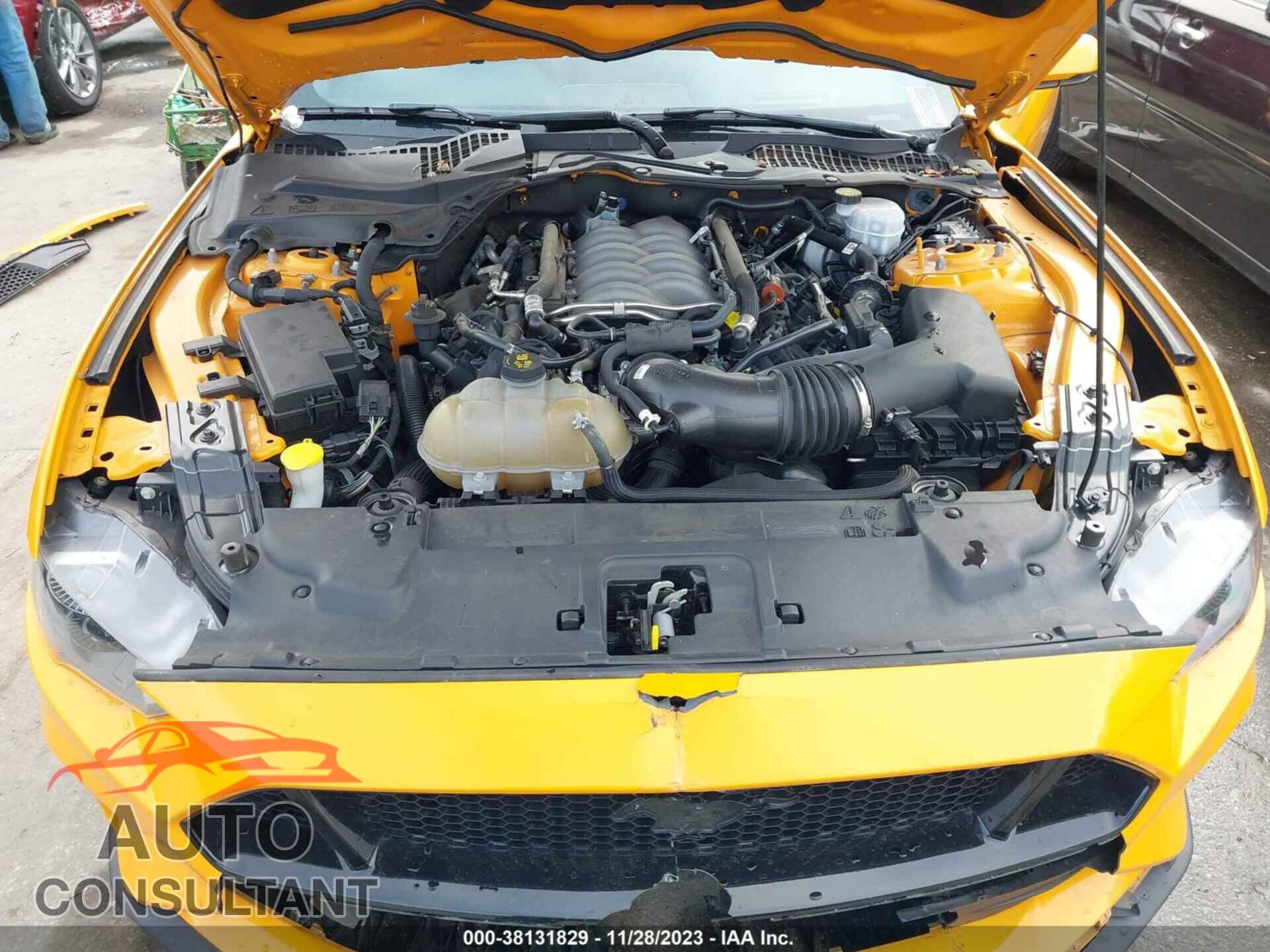 FORD MUSTANG 2019 - 1FA6P8CF6K5129859