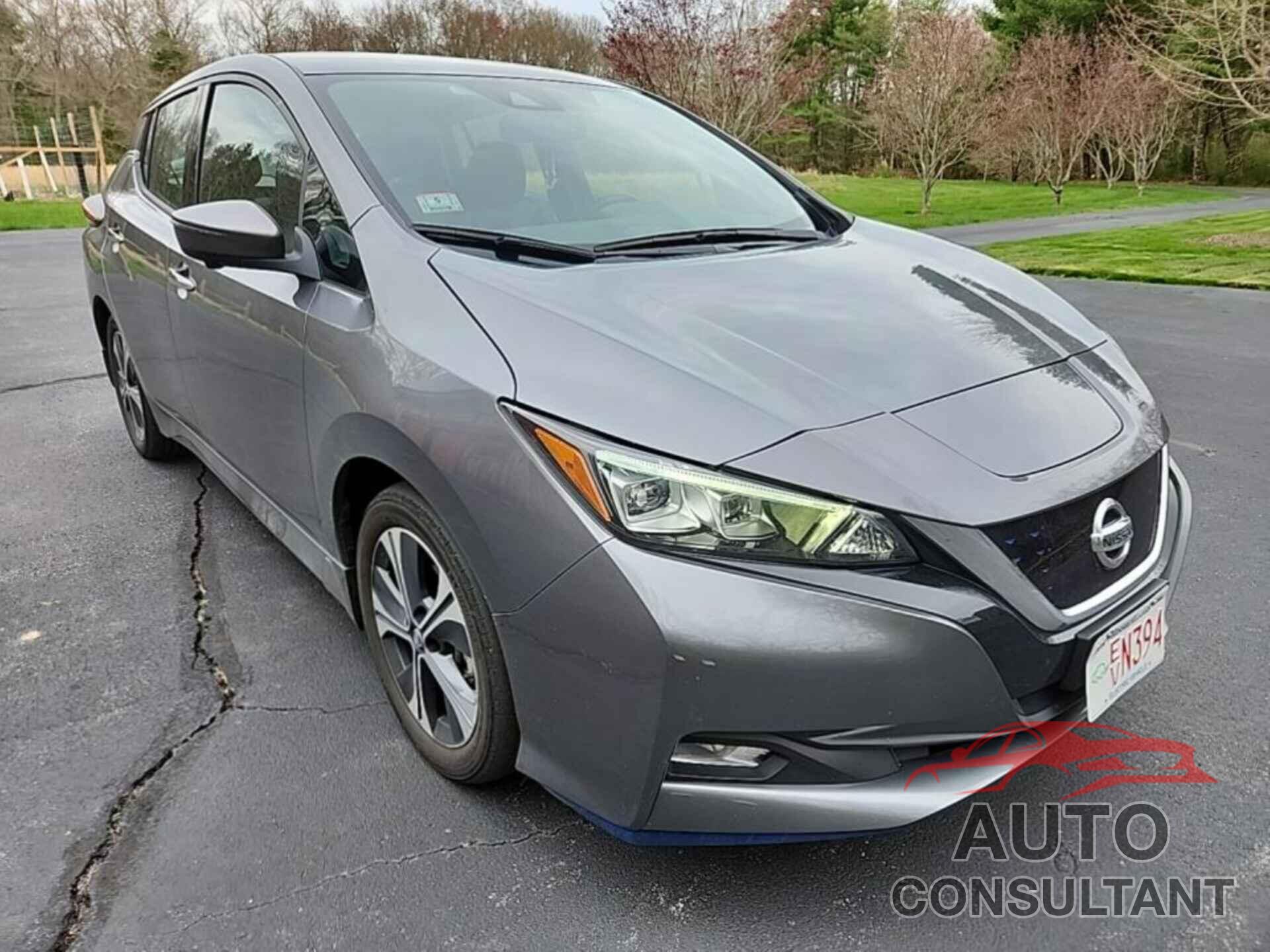 NISSAN LEAF 2020 - 1N4BZ1DP5LC311265