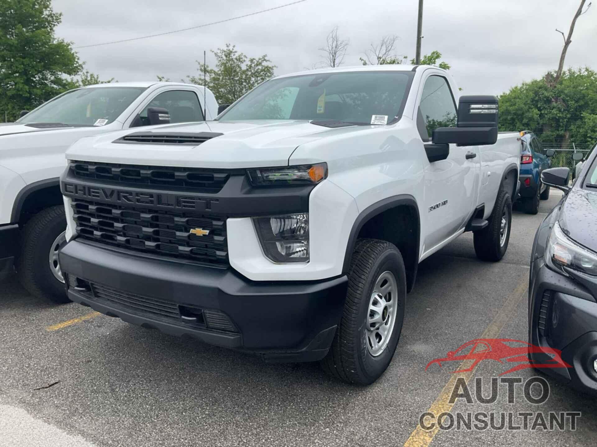 CHEVROLET SILVERADO 2023 - 1GC3YSE76PF261339