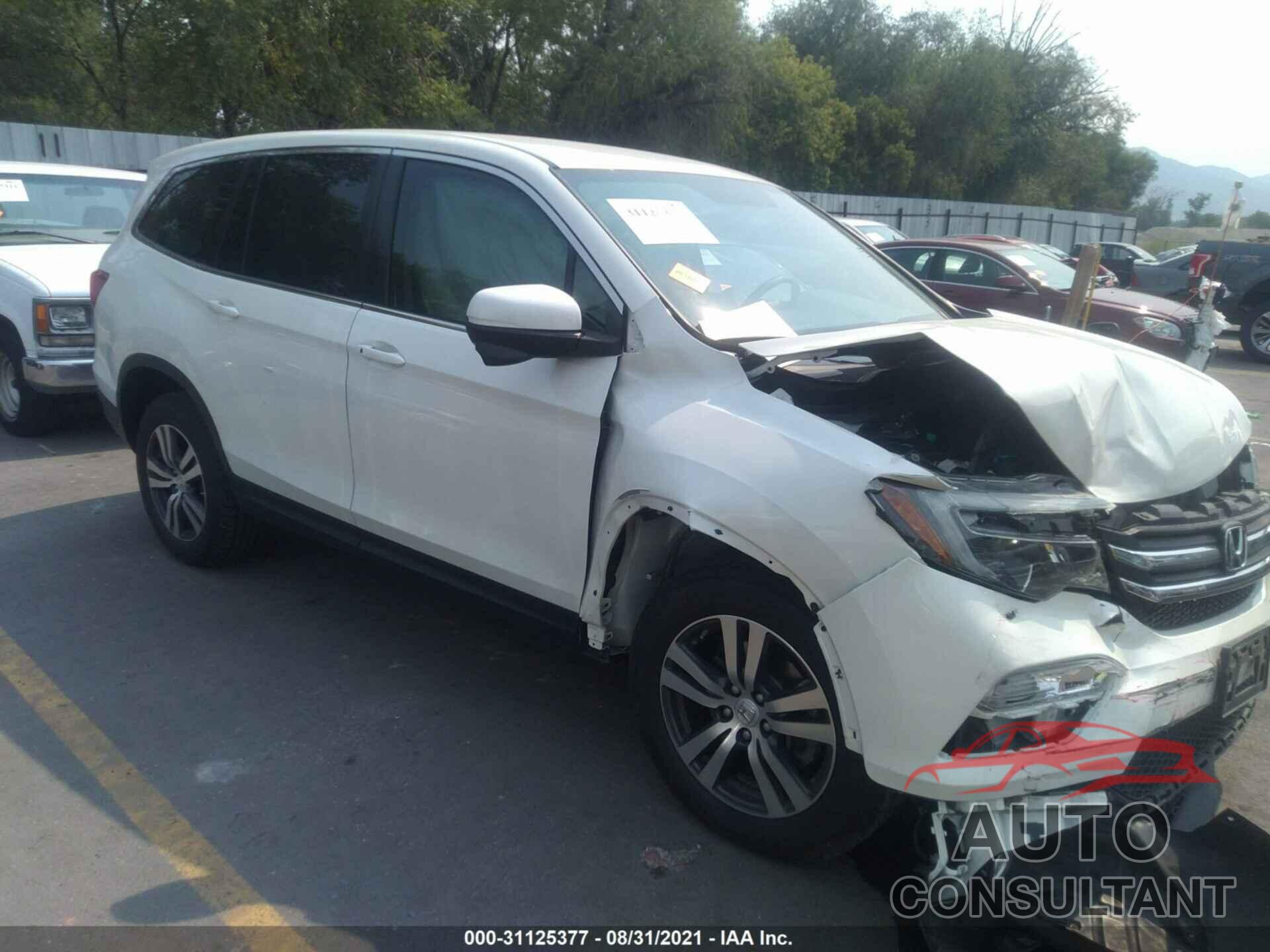 HONDA PILOT 2017 - 5FNYF6H36HB061076