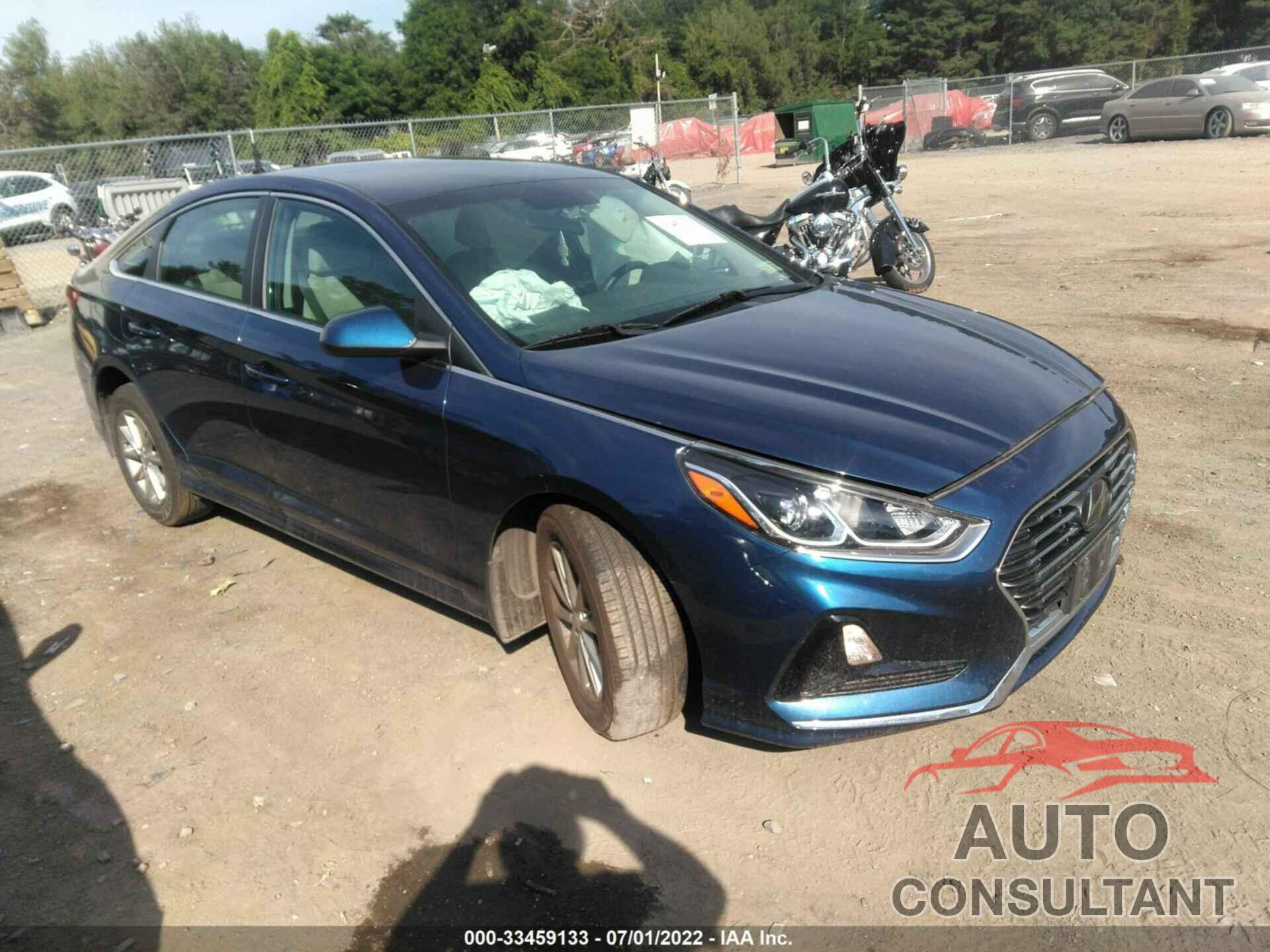 HYUNDAI SONATA 2019 - 5NPE24AF4KH803944