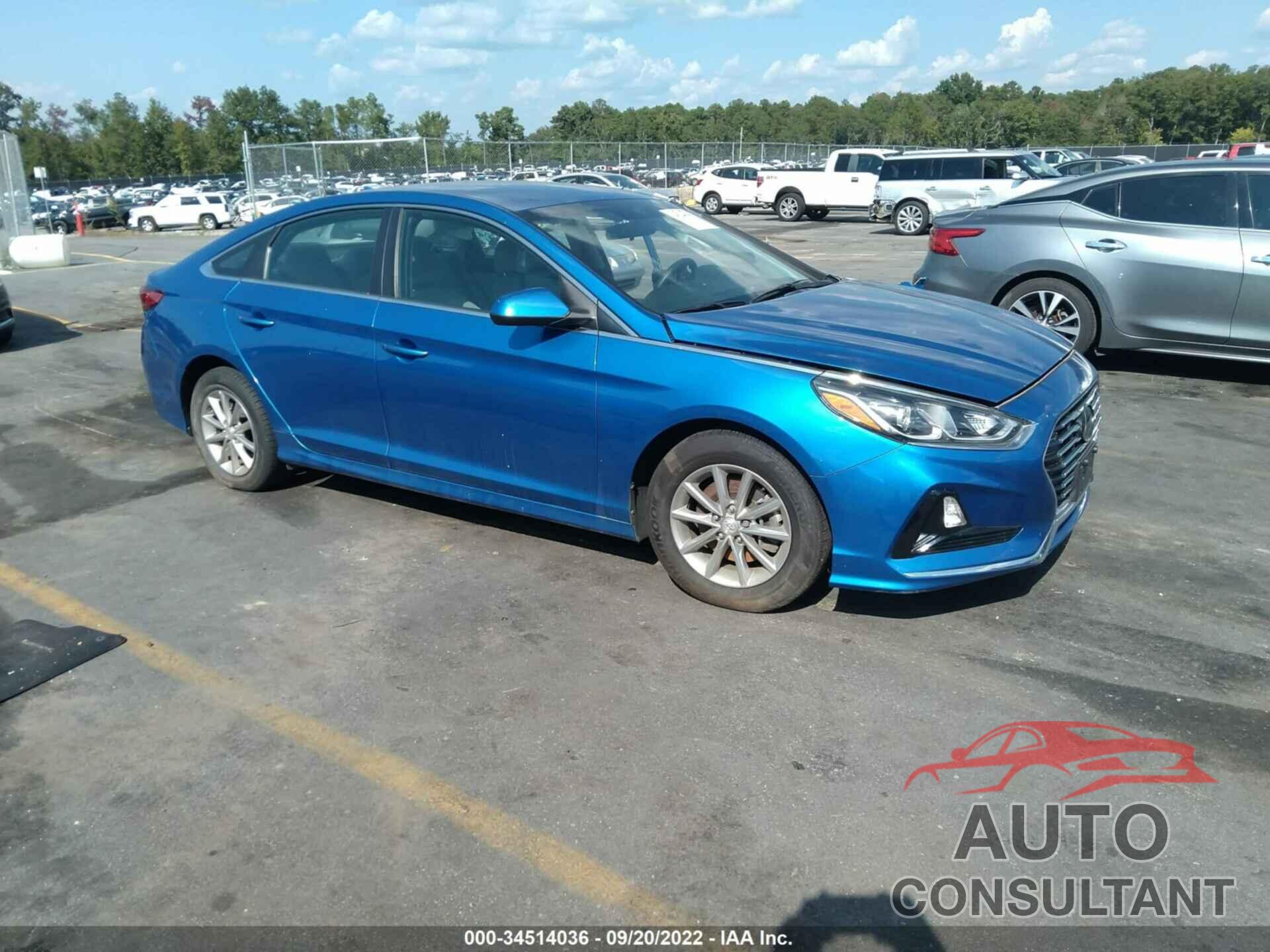 HYUNDAI SONATA 2019 - 5NPE24AF4KH774333