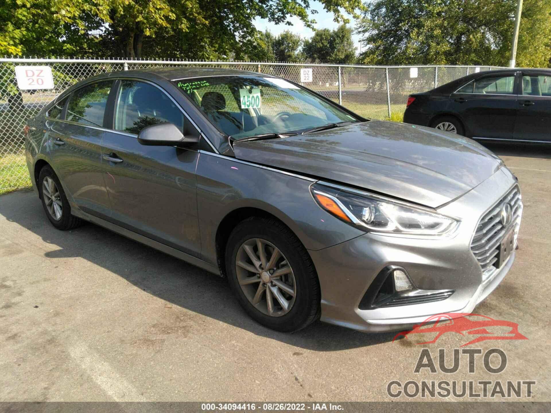 HYUNDAI SONATA 2019 - 5NPE24AF9KH755826