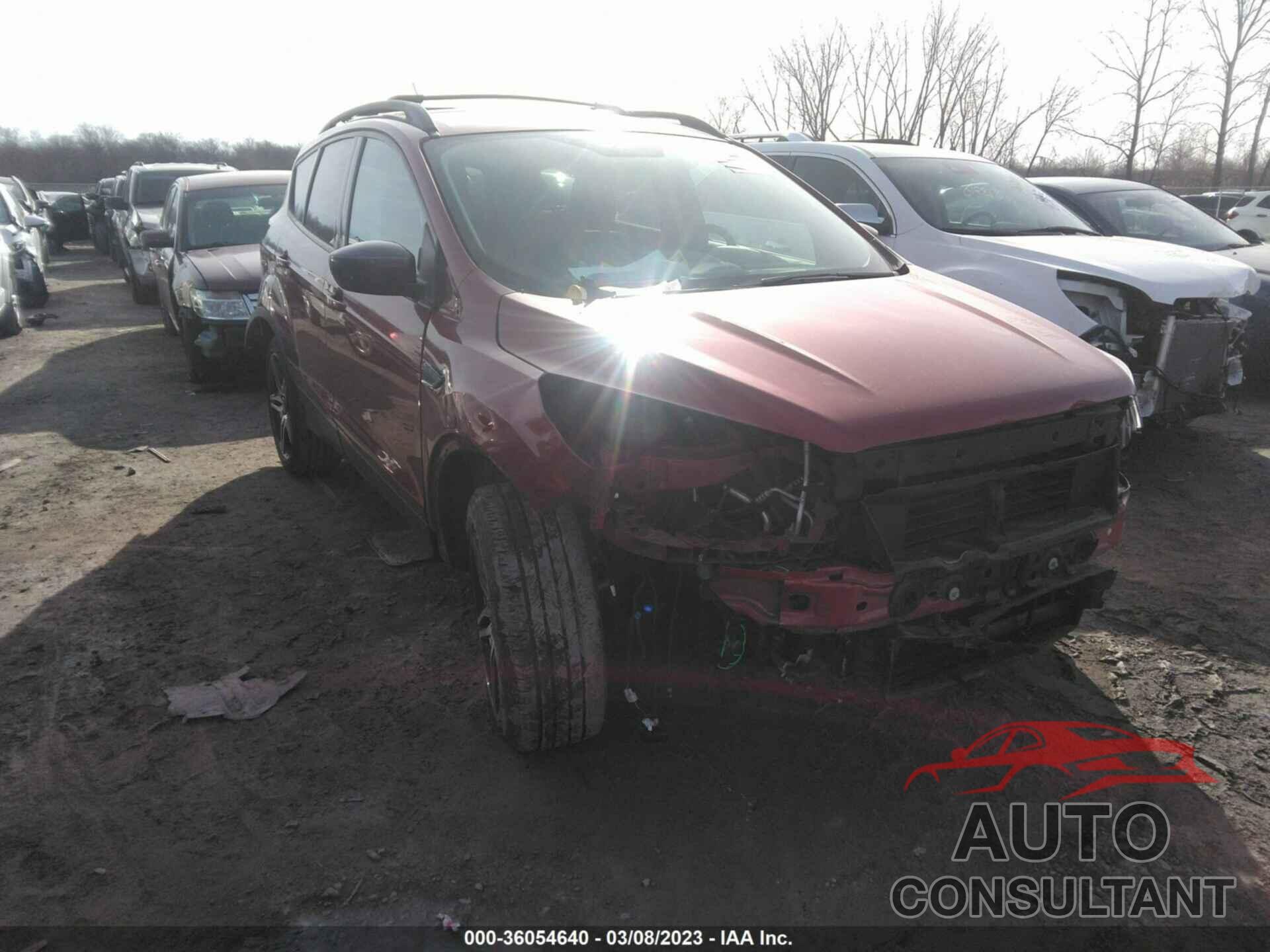 FORD ESCAPE 2019 - 1FMCU0HD4KUB98193