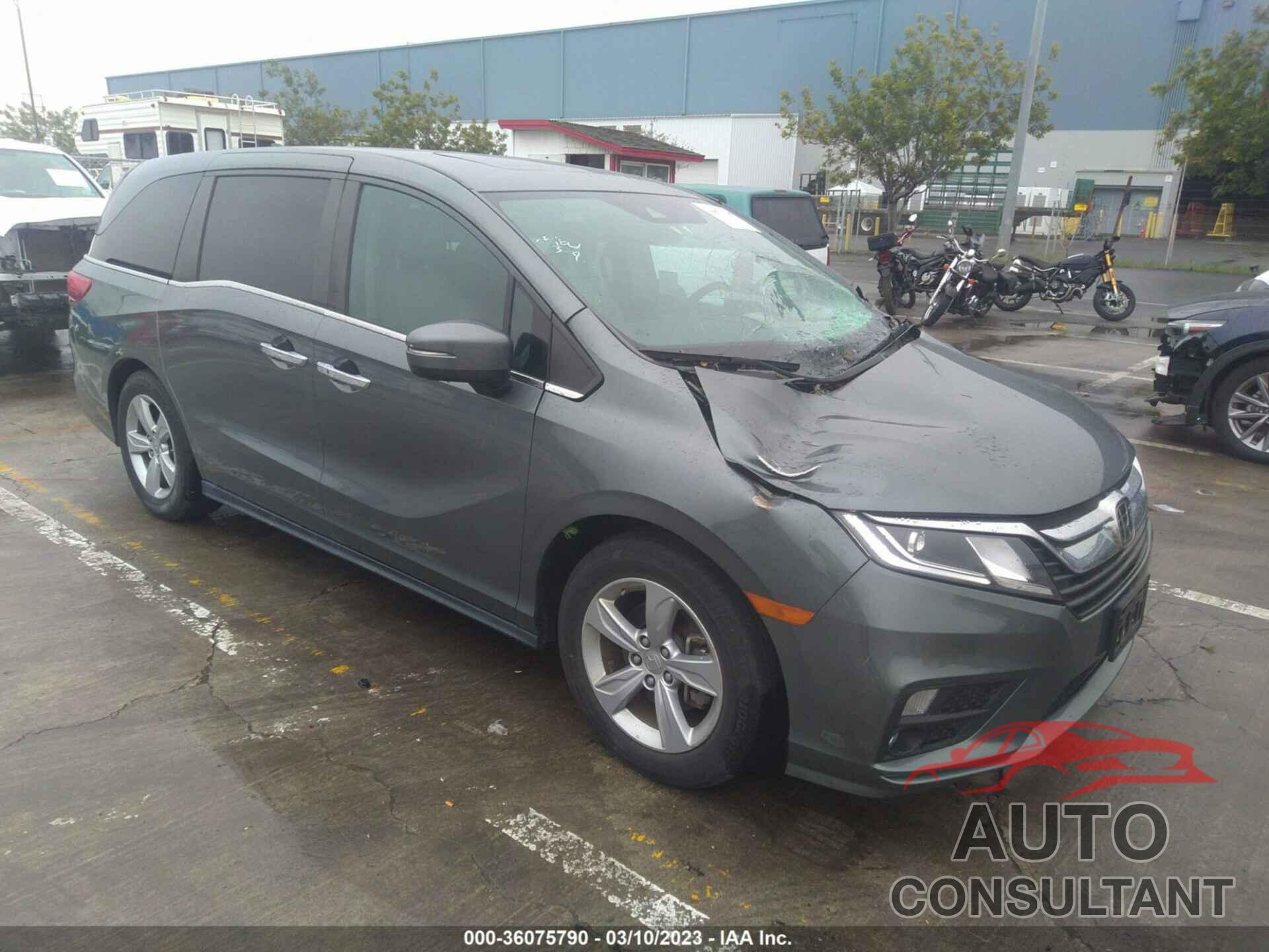 HONDA ODYSSEY 2019 - 5FNRL6H77KB025940