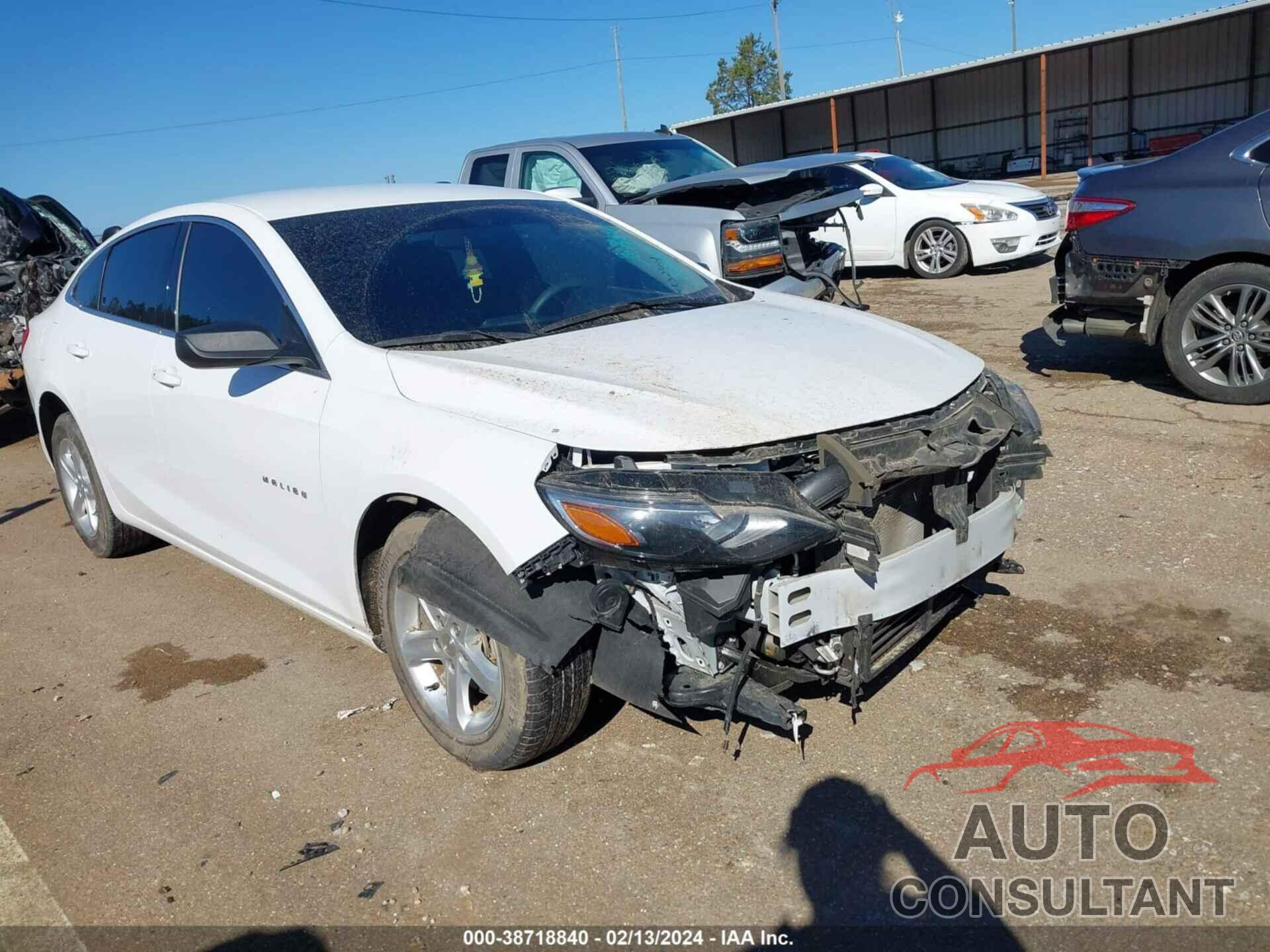 CHEVROLET MALIBU 2020 - 1G1ZB5ST7LF149442