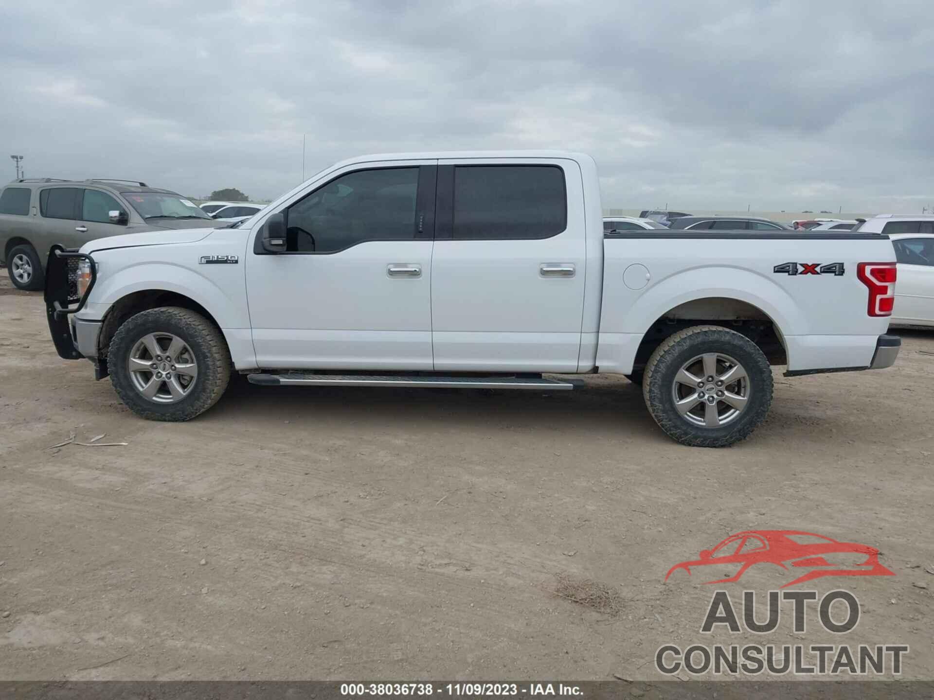 FORD F-150 2019 - 1FTEW1EP6KKD29745
