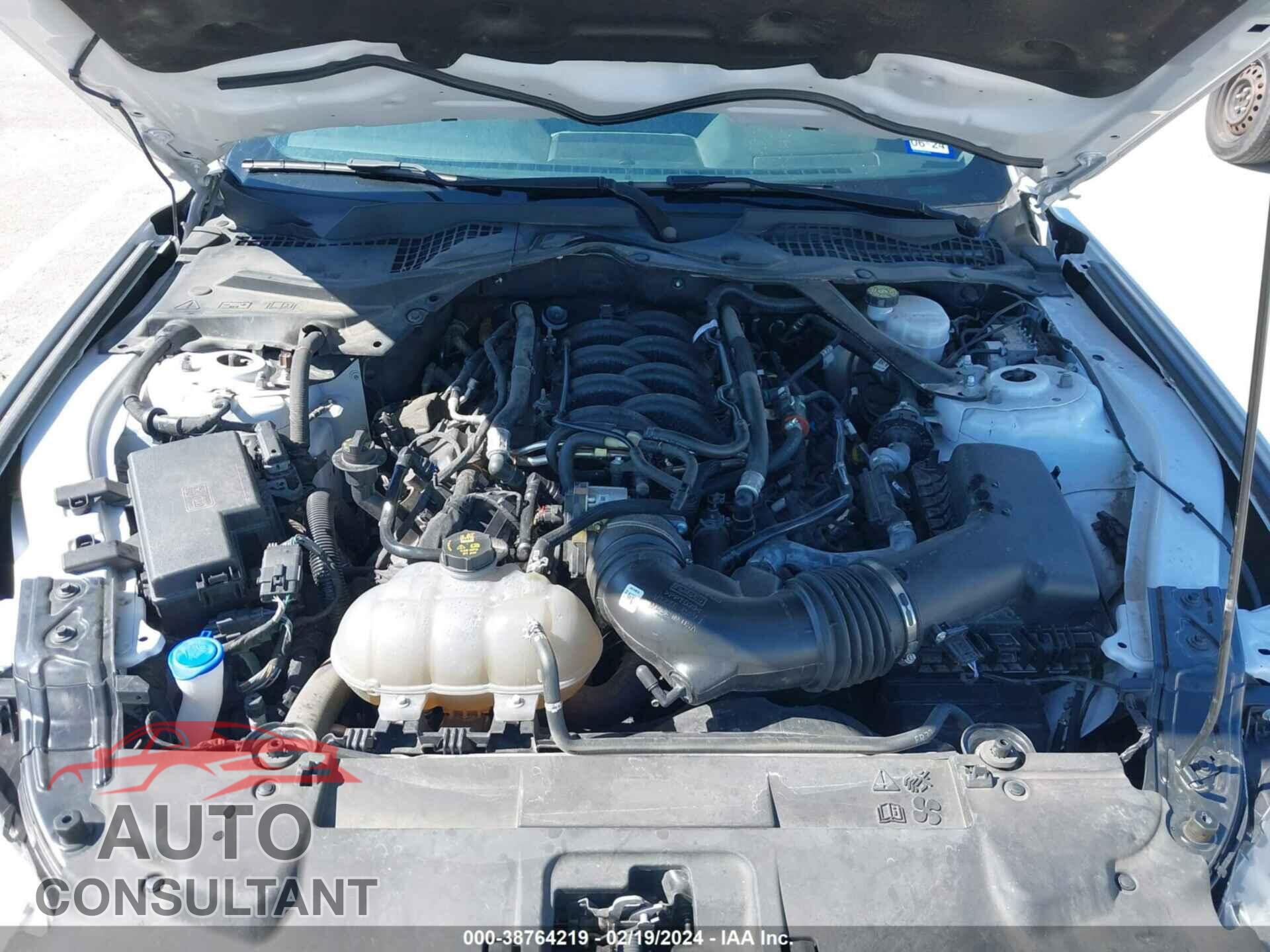 FORD MUSTANG 2021 - 1FA6P8CF8M5119966