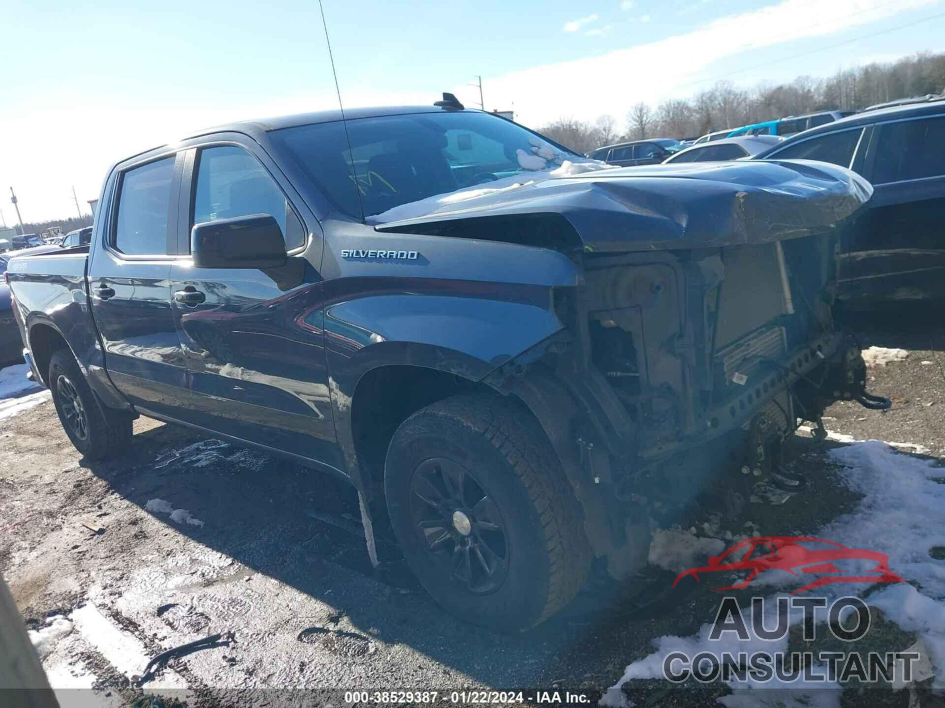 CHEVROLET SILVERADO 1500 2019 - 3GCPYDEK0KG236204