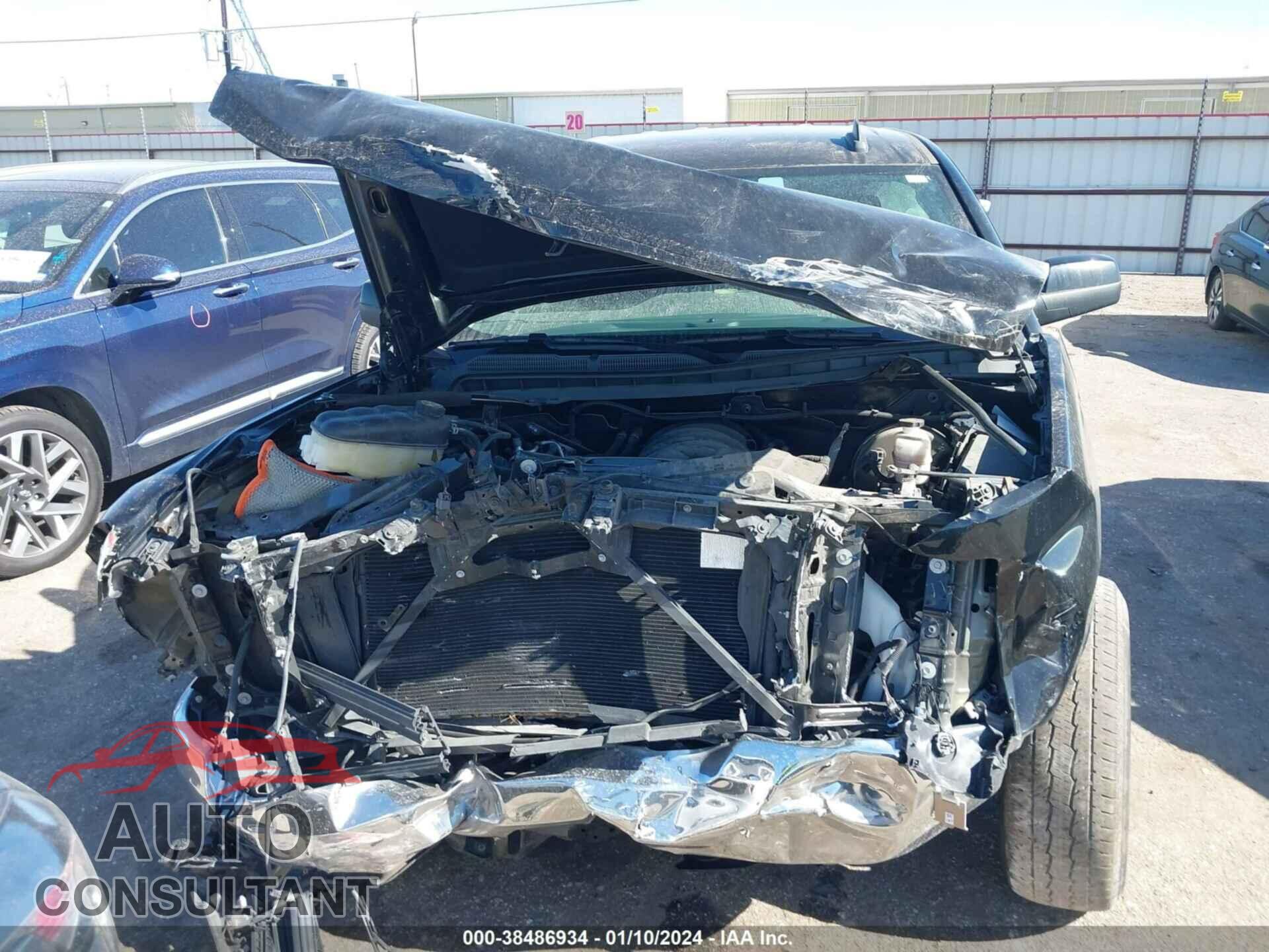 CHEVROLET SILVERADO LD 2019 - 2GCRCPEC2K1191597