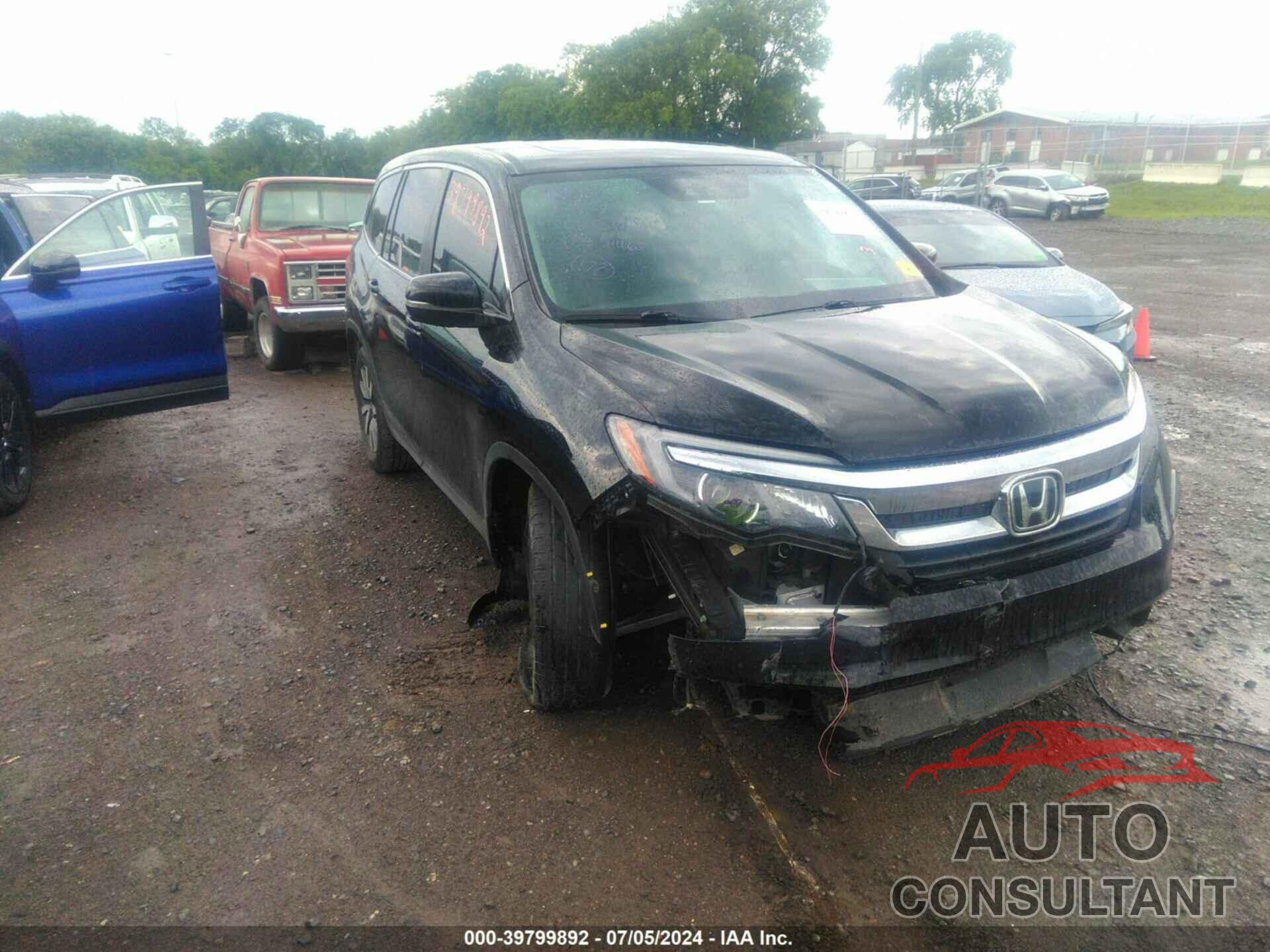 HONDA PILOT 2021 - 5FNYF5H50MB011165