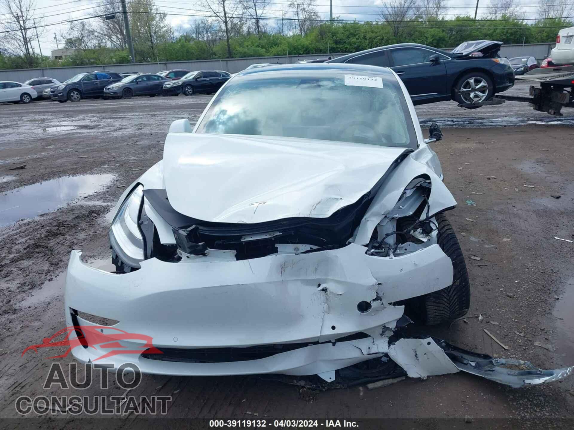 TESLA MODEL 3 2019 - 5YJ3E1EA2KF417727