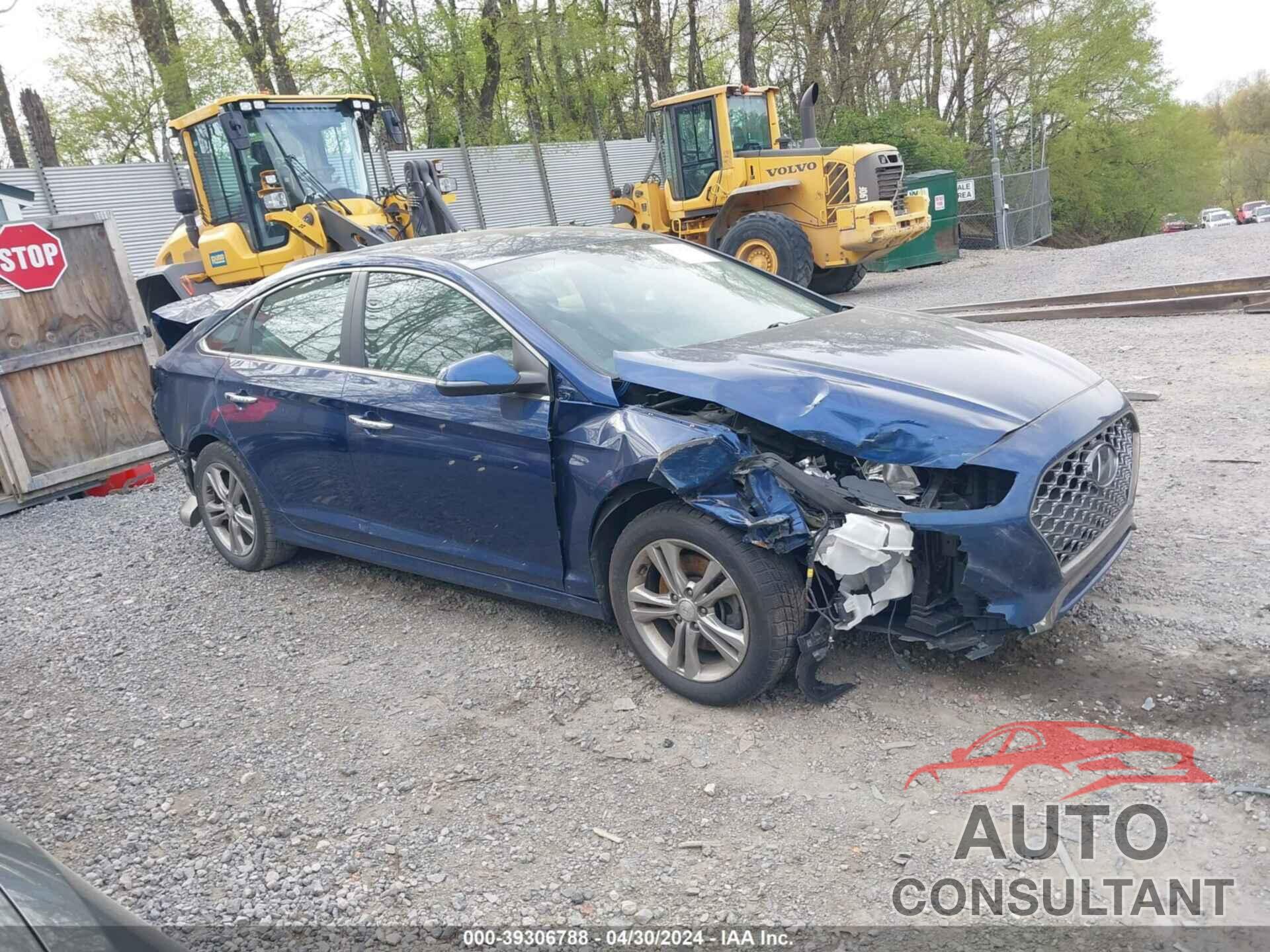 HYUNDAI SONATA 2019 - 5NPE34AF6KH731707