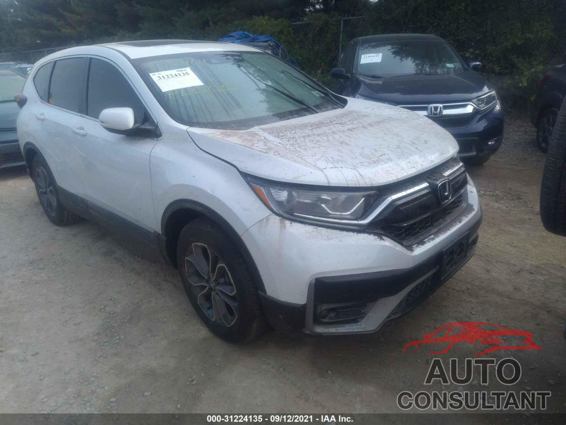 HONDA CR-V 2020 - 2HKRW2H81LH674502