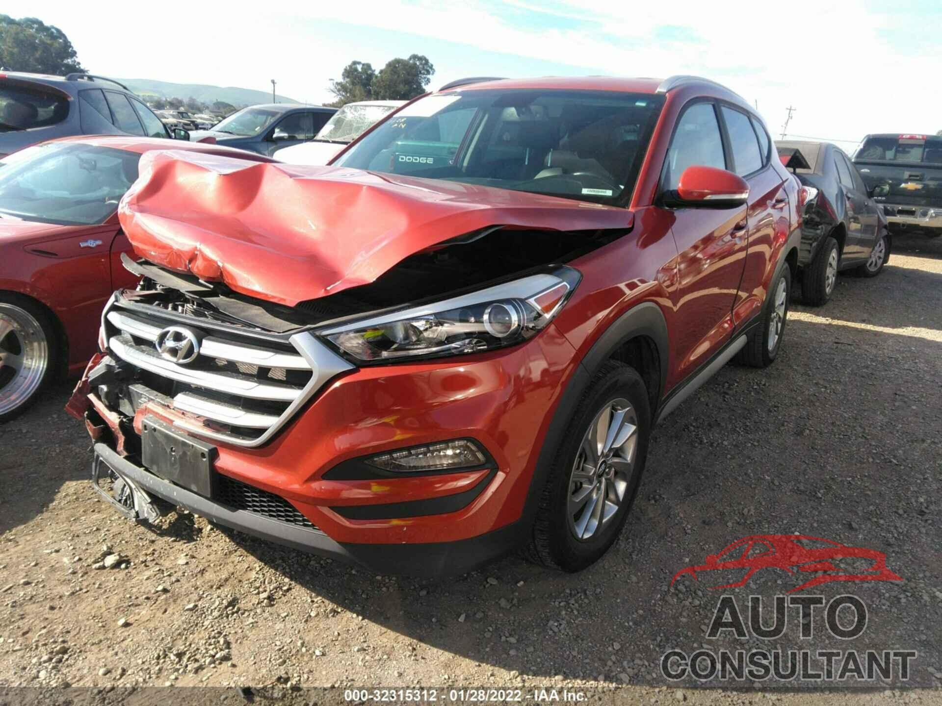 HYUNDAI TUCSON 2017 - KM8J33A42HU429008