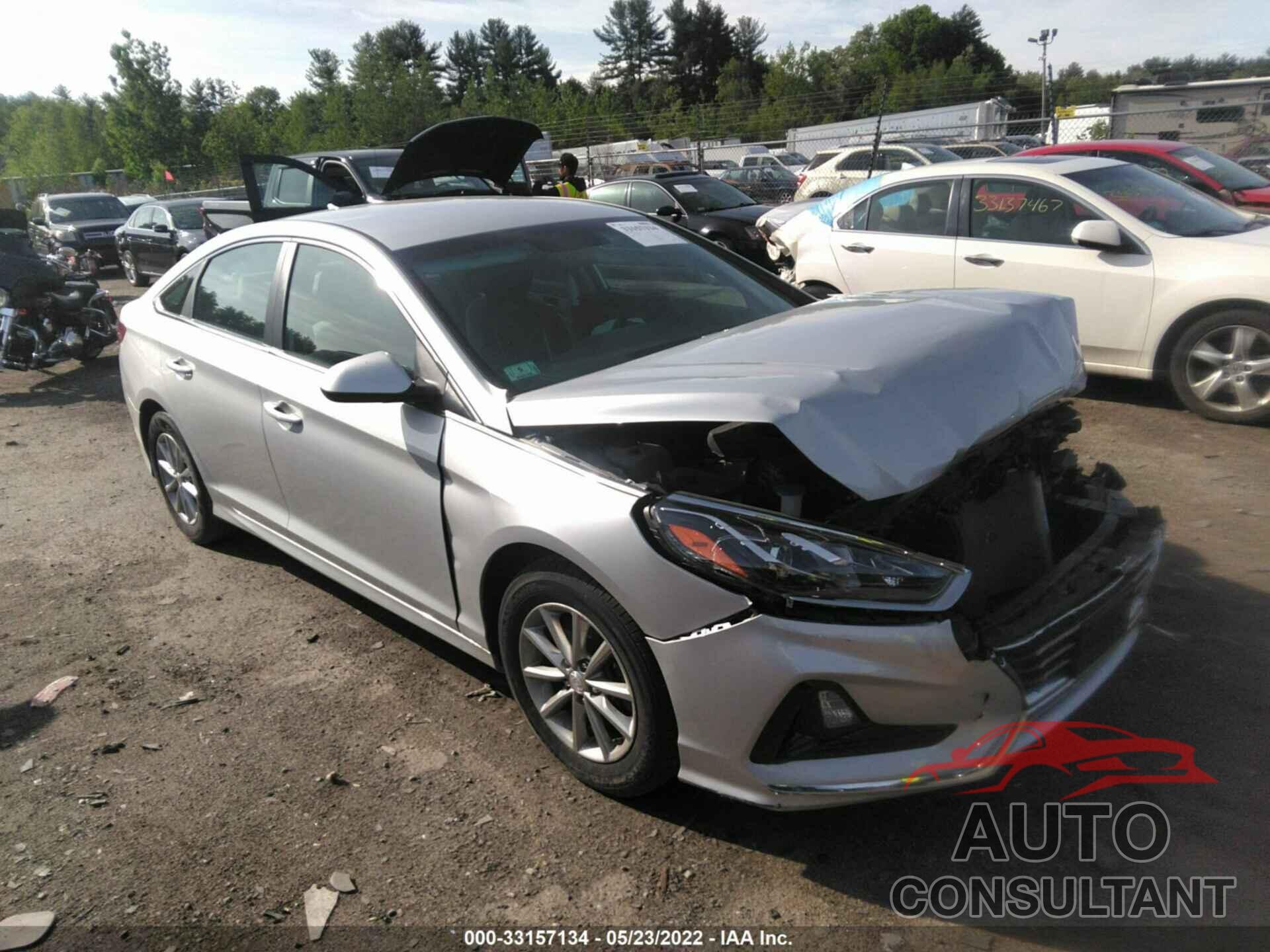HYUNDAI SONATA 2019 - 5NPE24AF5KH817044