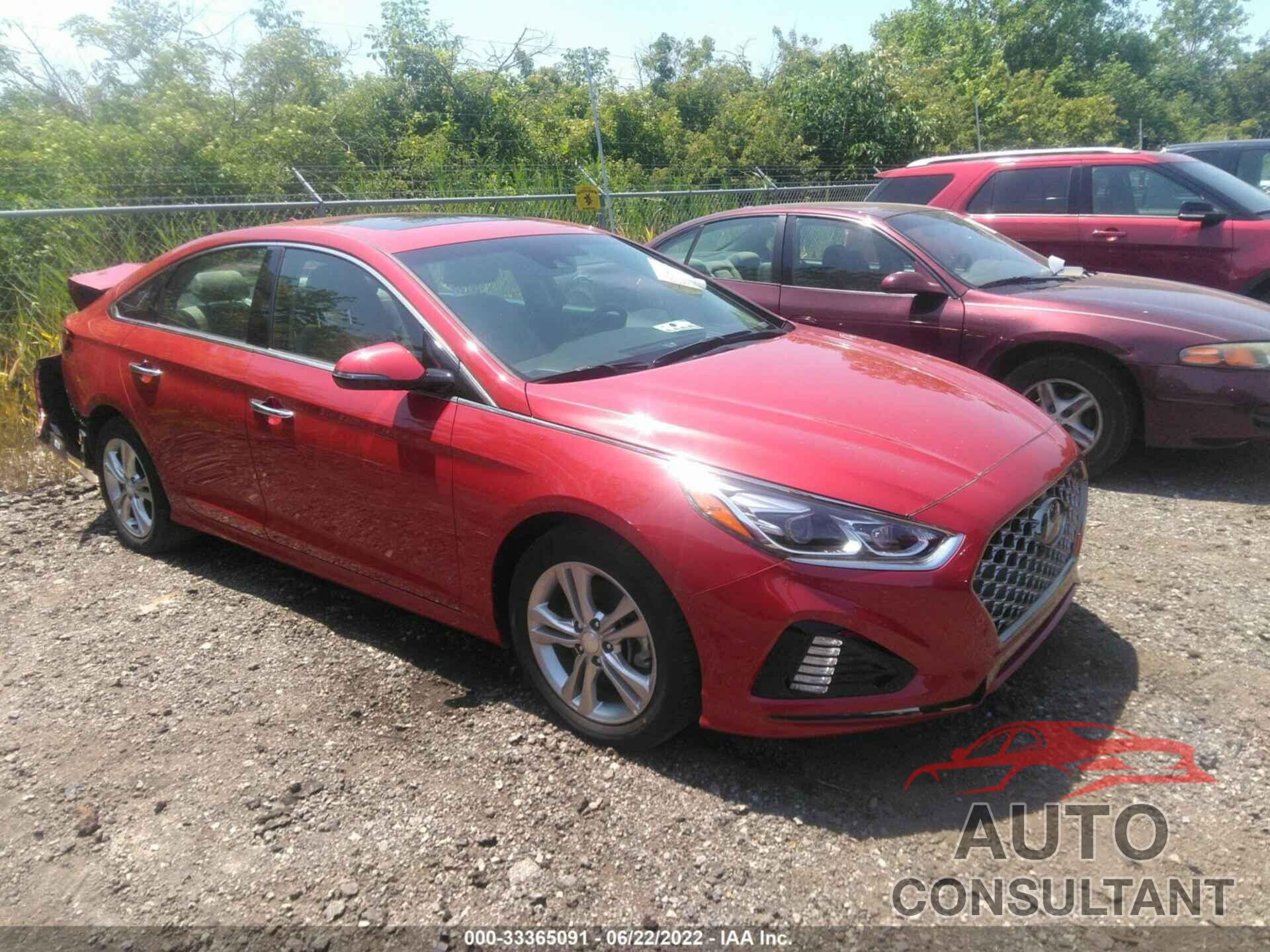 HYUNDAI SONATA 2019 - 5NPE34AF2KH773243