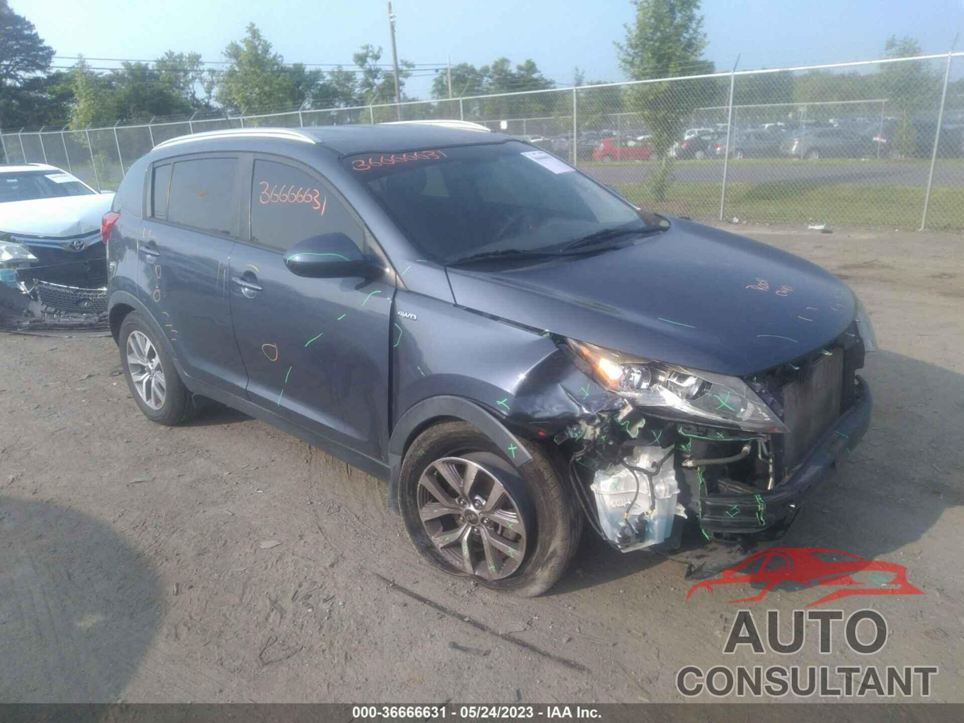 KIA SPORTAGE 2016 - KNDPBCAC2G7854055