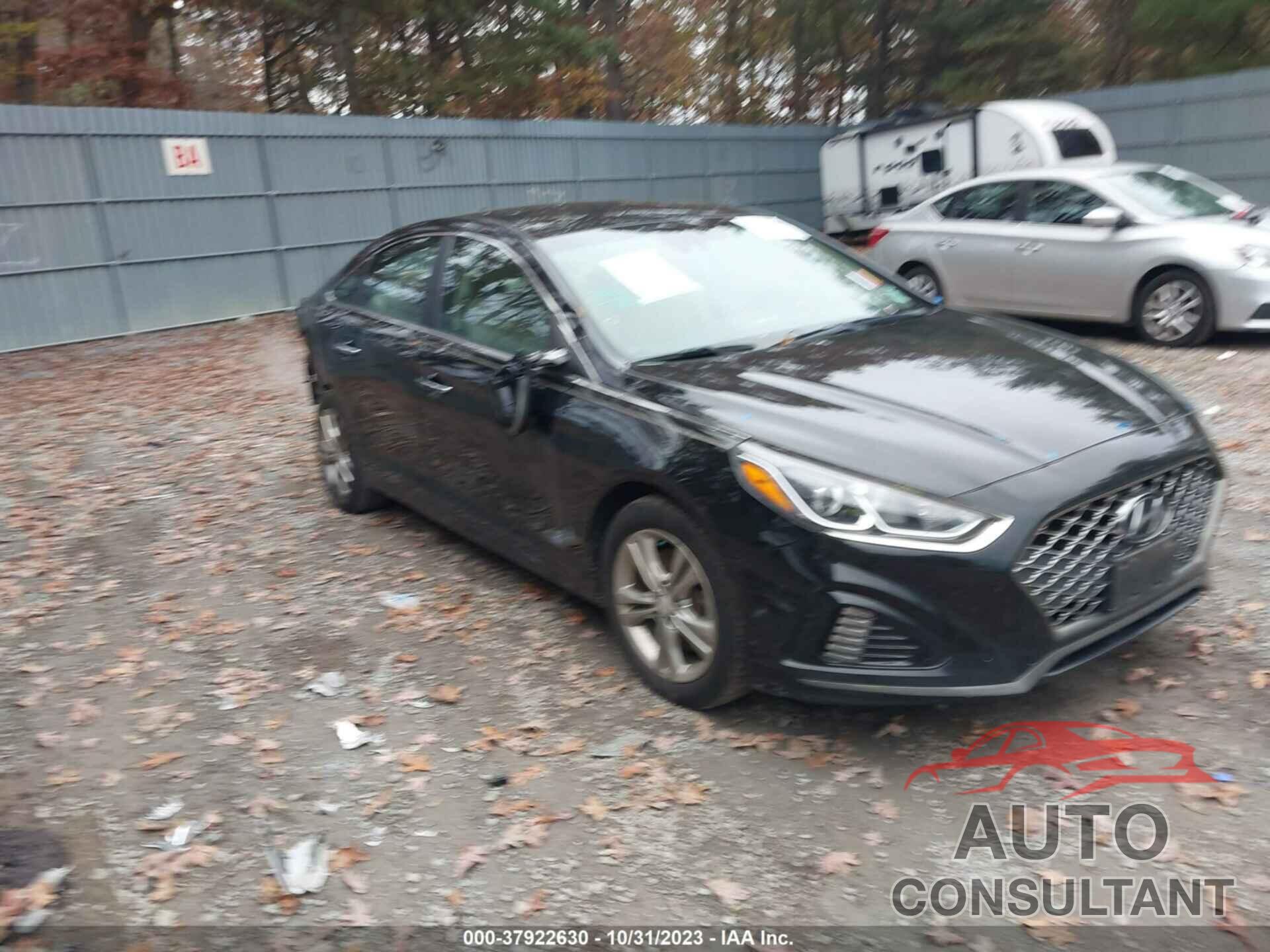 HYUNDAI SONATA 2019 - 5NPE34AF4KH795471