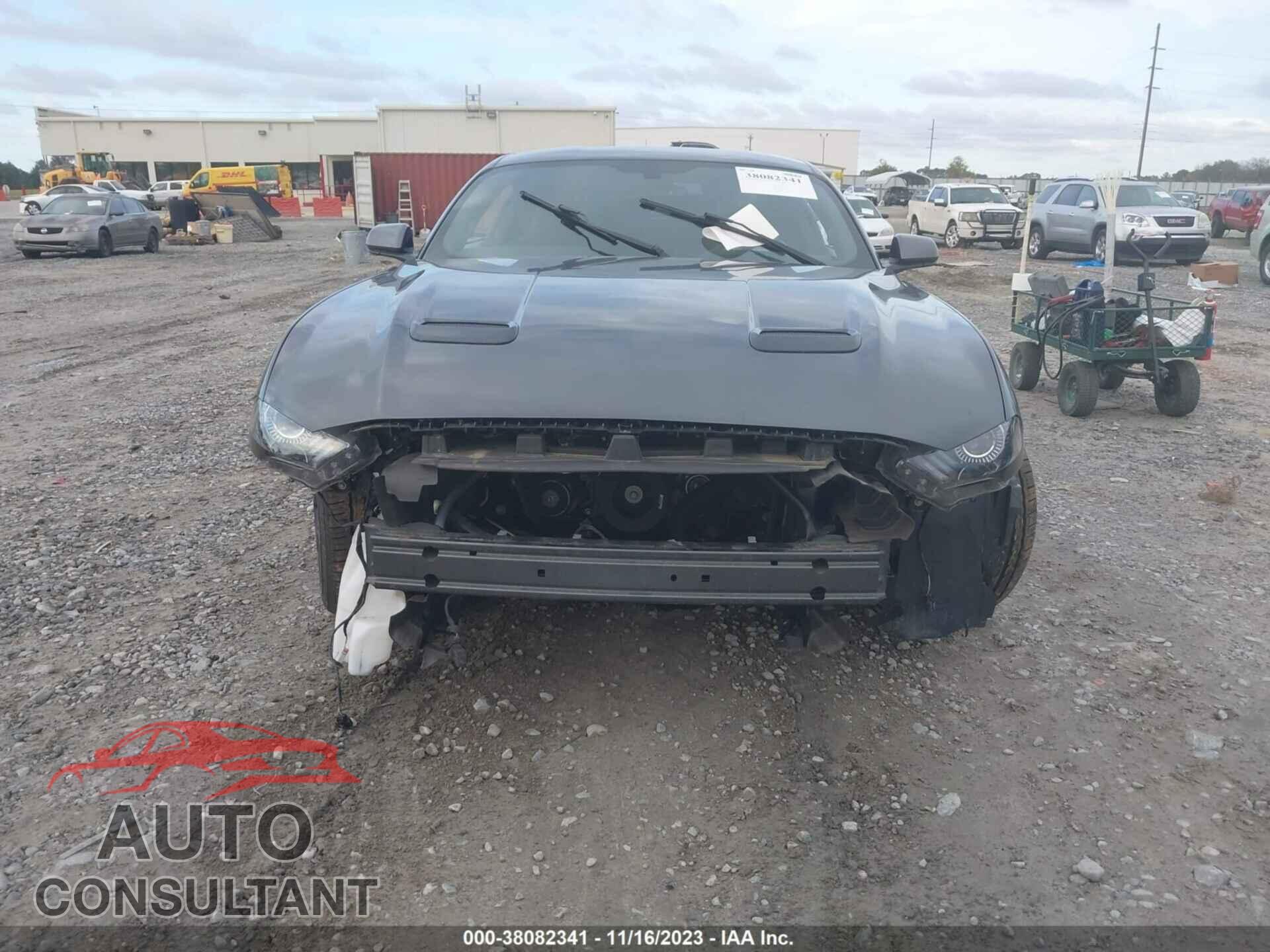 FORD MUSTANG 2019 - 1FA6P8CF8K5129328