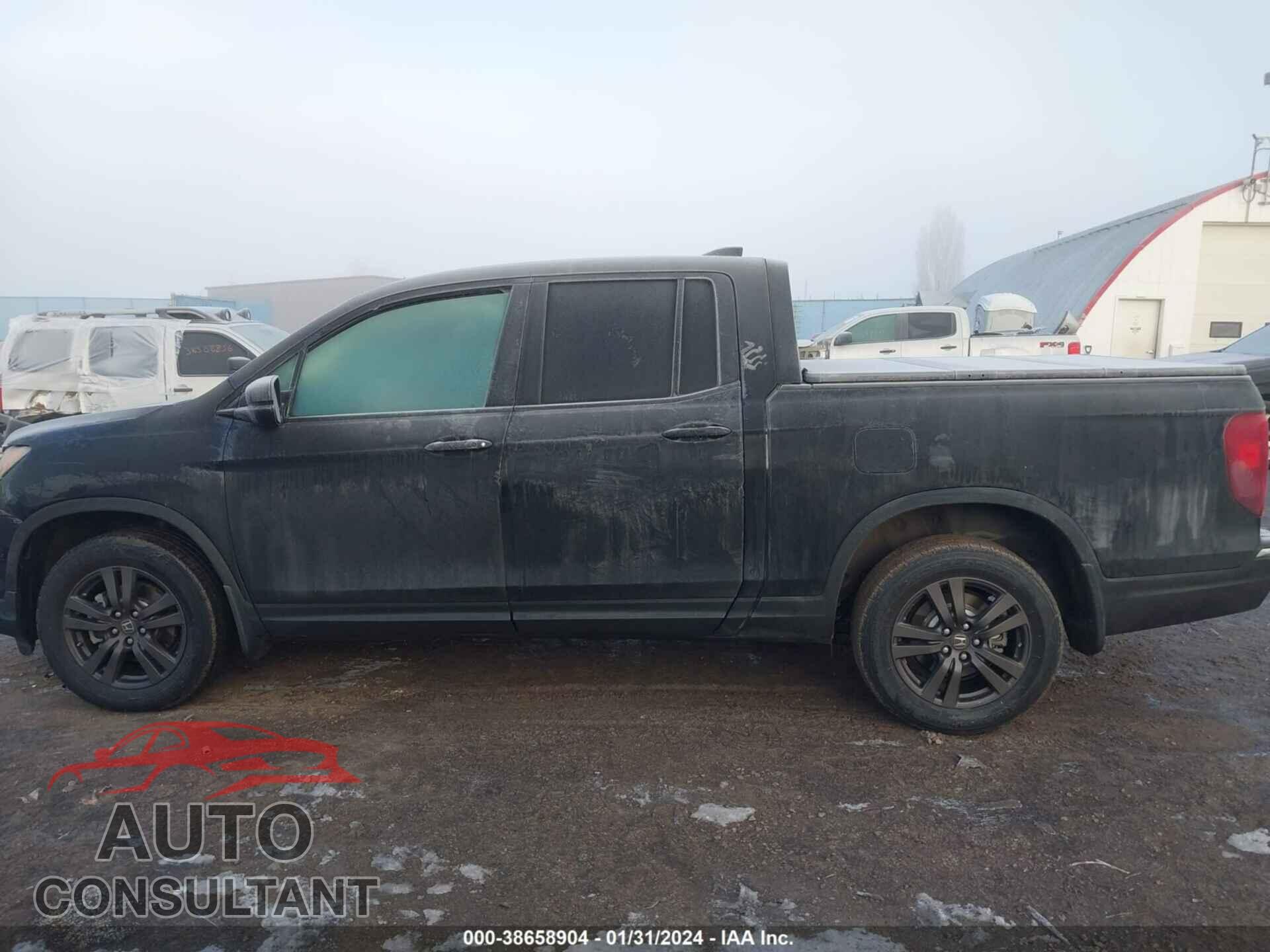 HONDA RIDGELINE 2019 - 5FPYK3F16KB026466