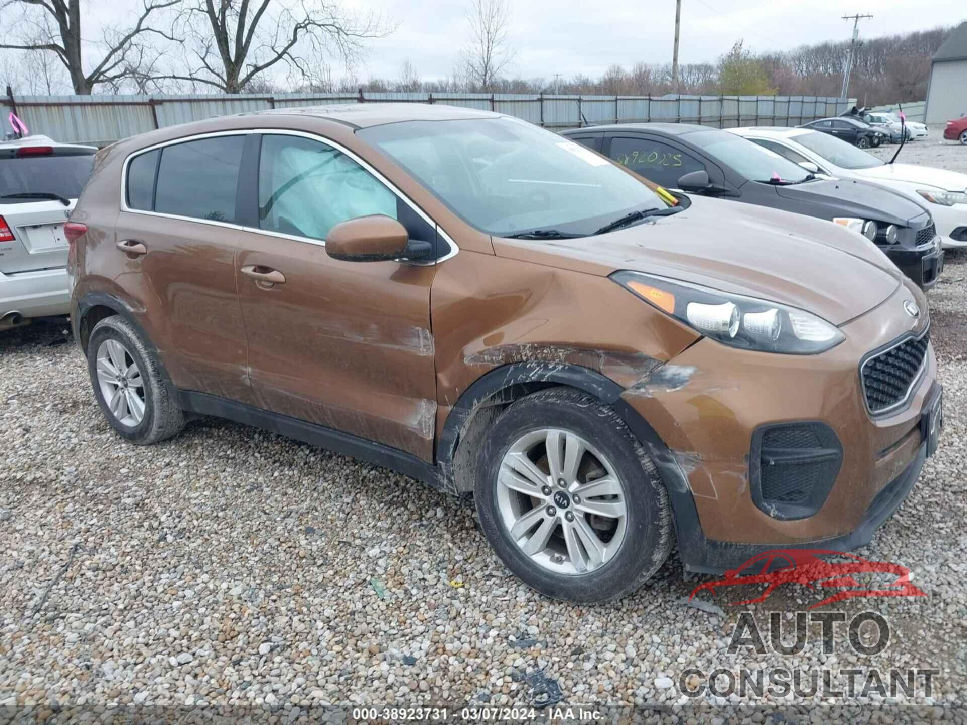 KIA SPORTAGE 2019 - KNDPM3AC5K7506947